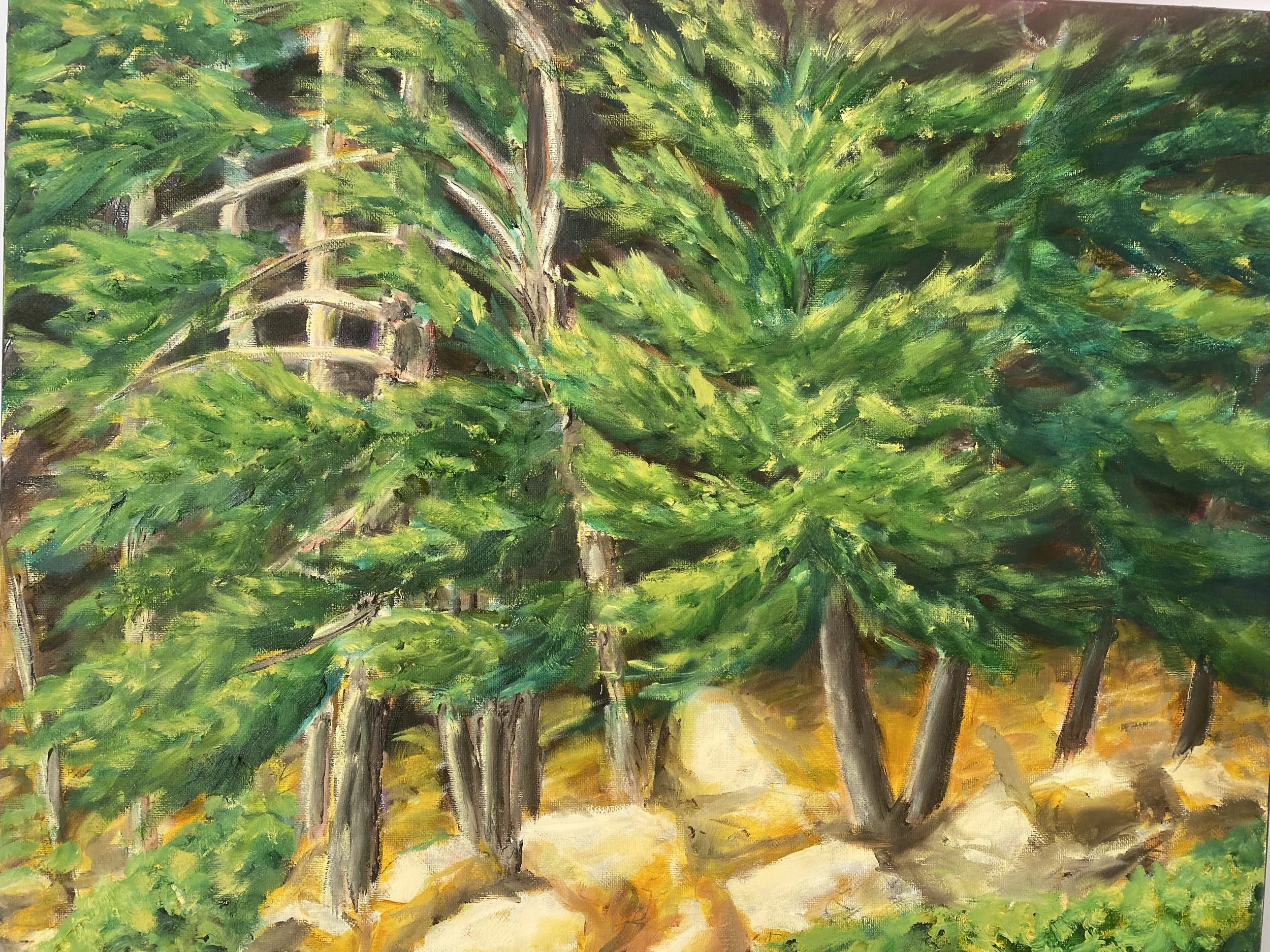 Pines in Motion