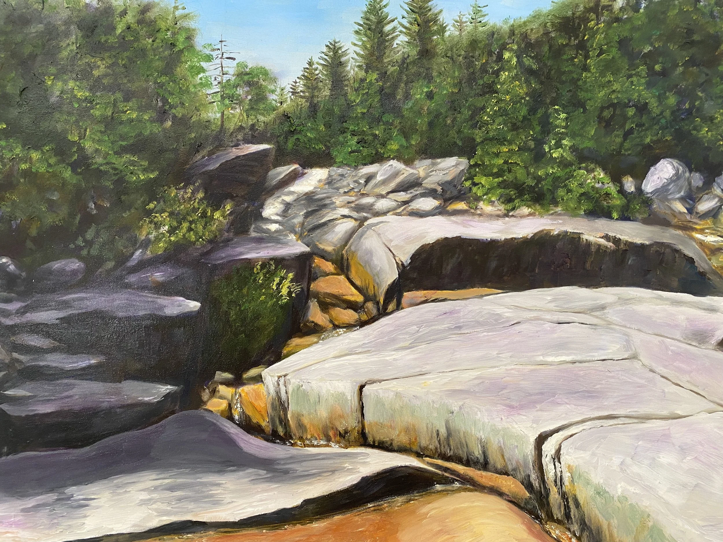 Zealand Falls NH