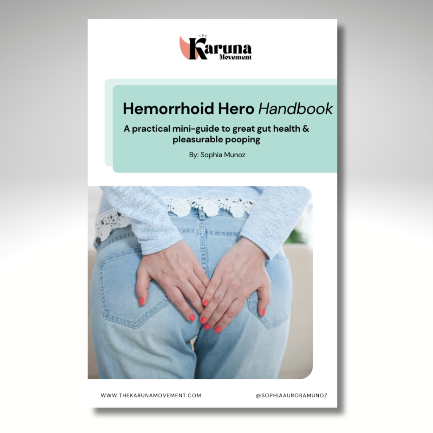 Hemorrhoid hero mini-guide