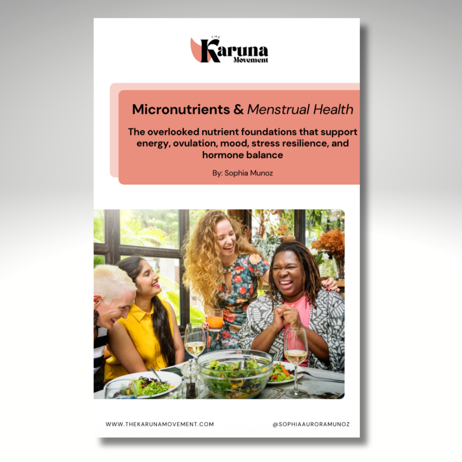 Micronutrients & menstrual health mini-guide