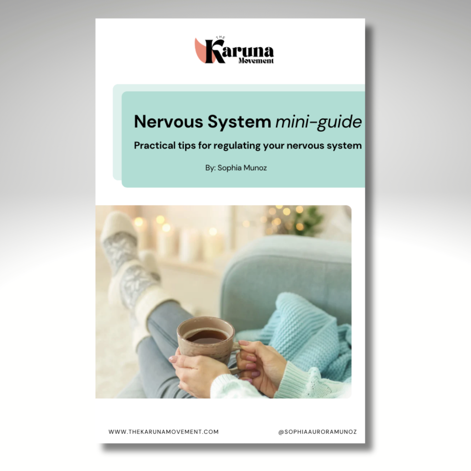 Nervous system mini-guide