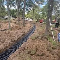 A trench filled with black geogrid material running through a forested area, likely for drainage or construction.