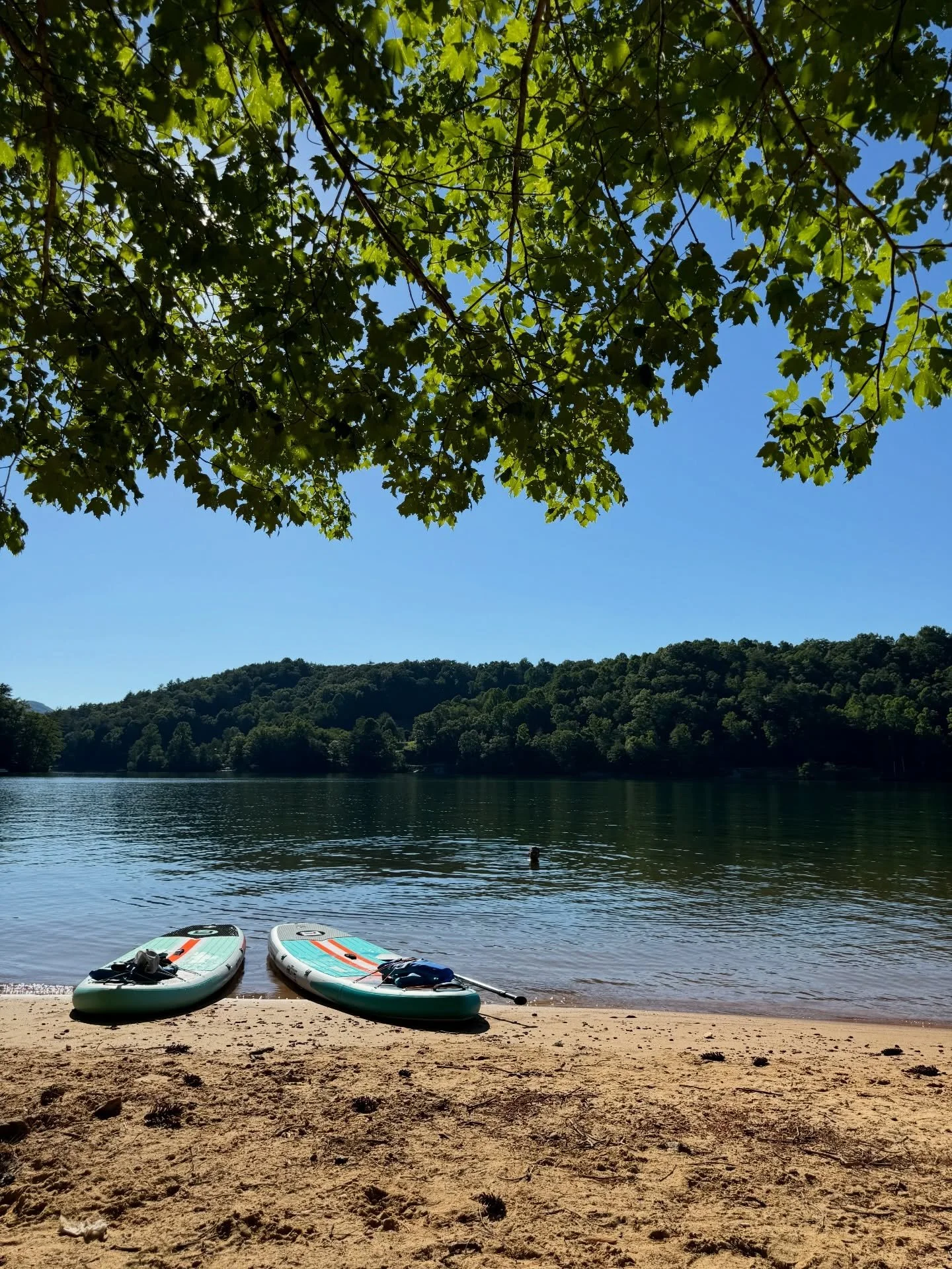 This weather has me daydreaming about summer on the lake&hellip;

Anyone else love paddle boarding? Lake Glenville is the perfect spot to put your boards in the water and cruise around. The highest lake on the east coast, it&rsquo;s the ideal place t