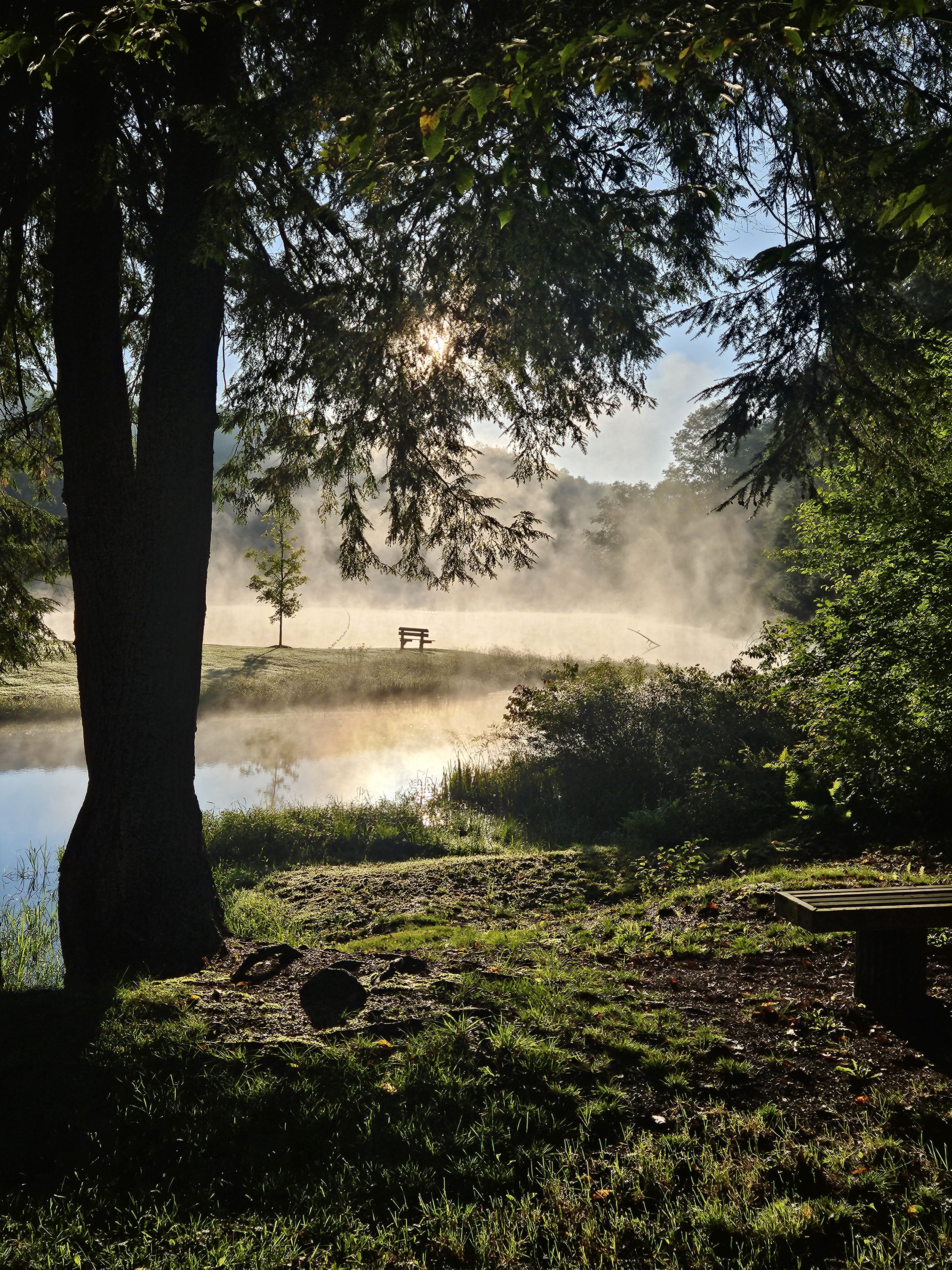 empty bench by twin lakes with mist coming off during sunrise grief support