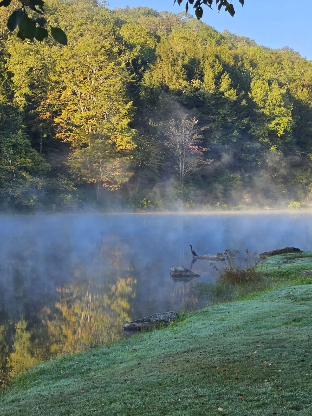 A peaceful lakeside scene with fog rising from the water, surrounded by green trees and grass, under a clear blue sky.