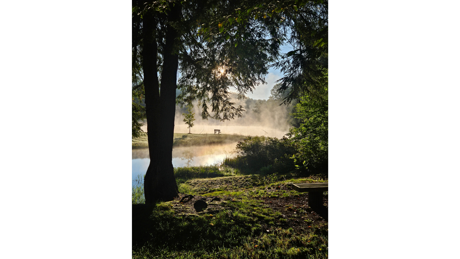empty bench by twin lakes with mist coming off during sunrise grief support