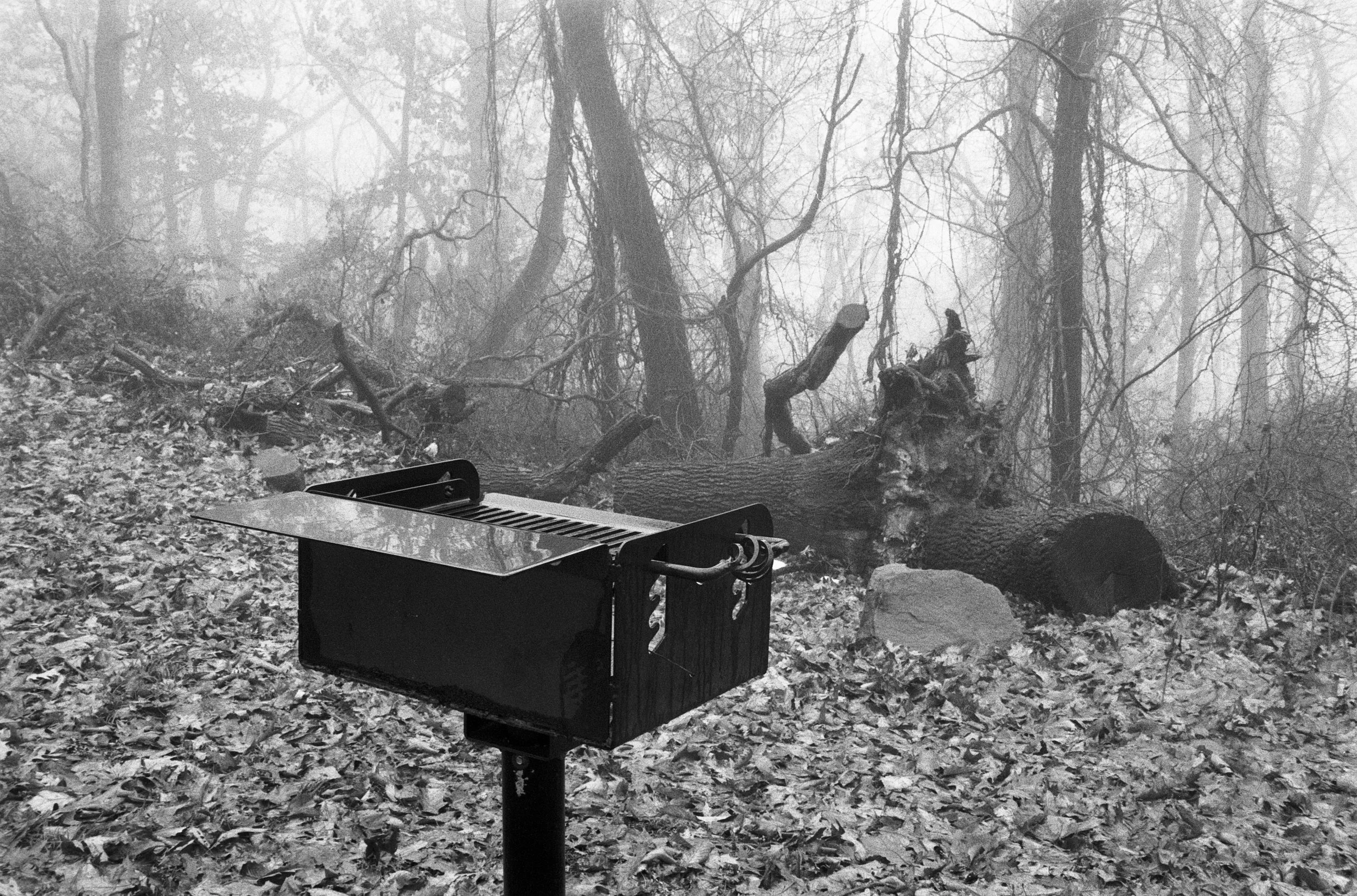 probablyisntagoodidea (10).jpg