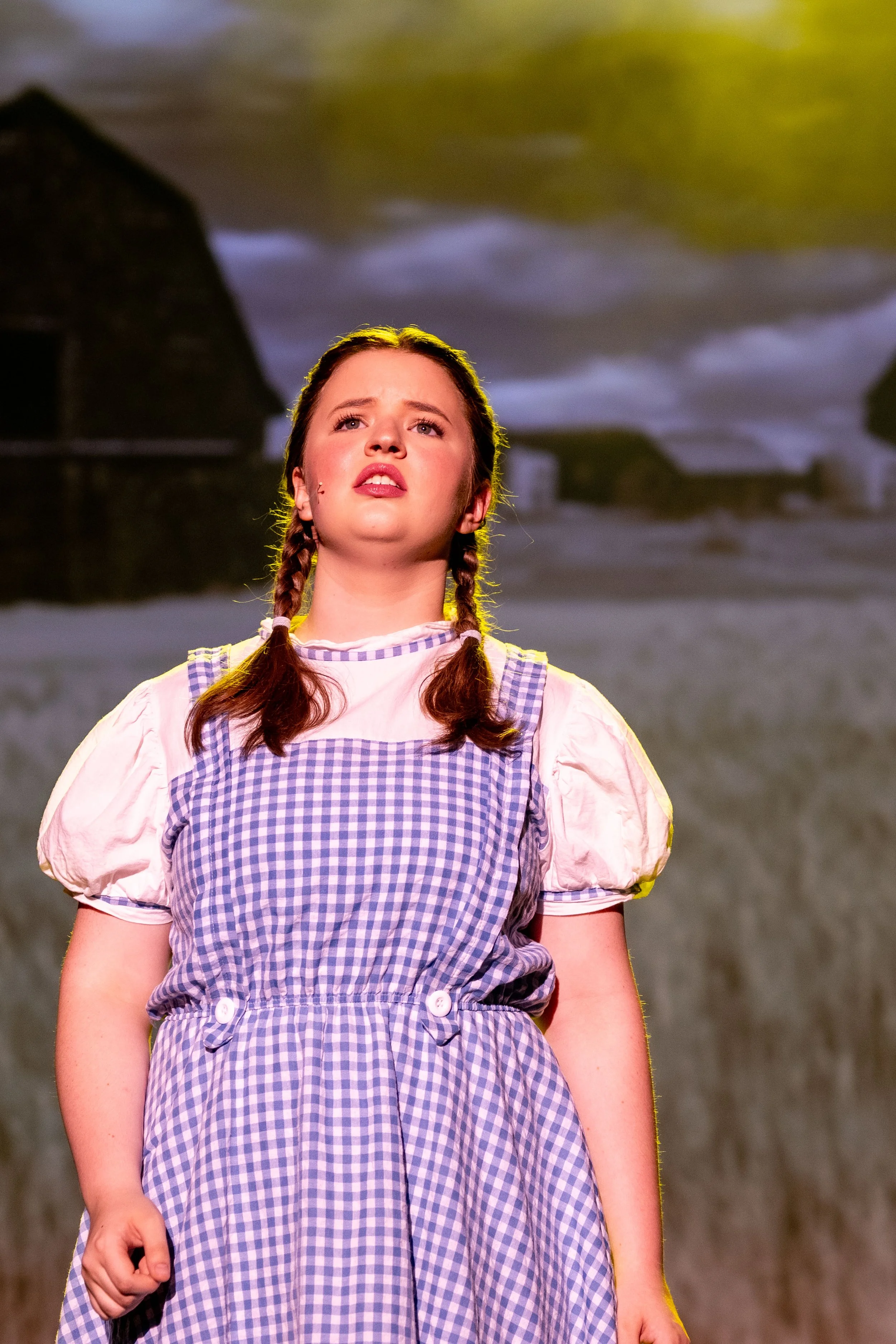 The Wizard of Oz, Flagler Palm Coast High School Thespians