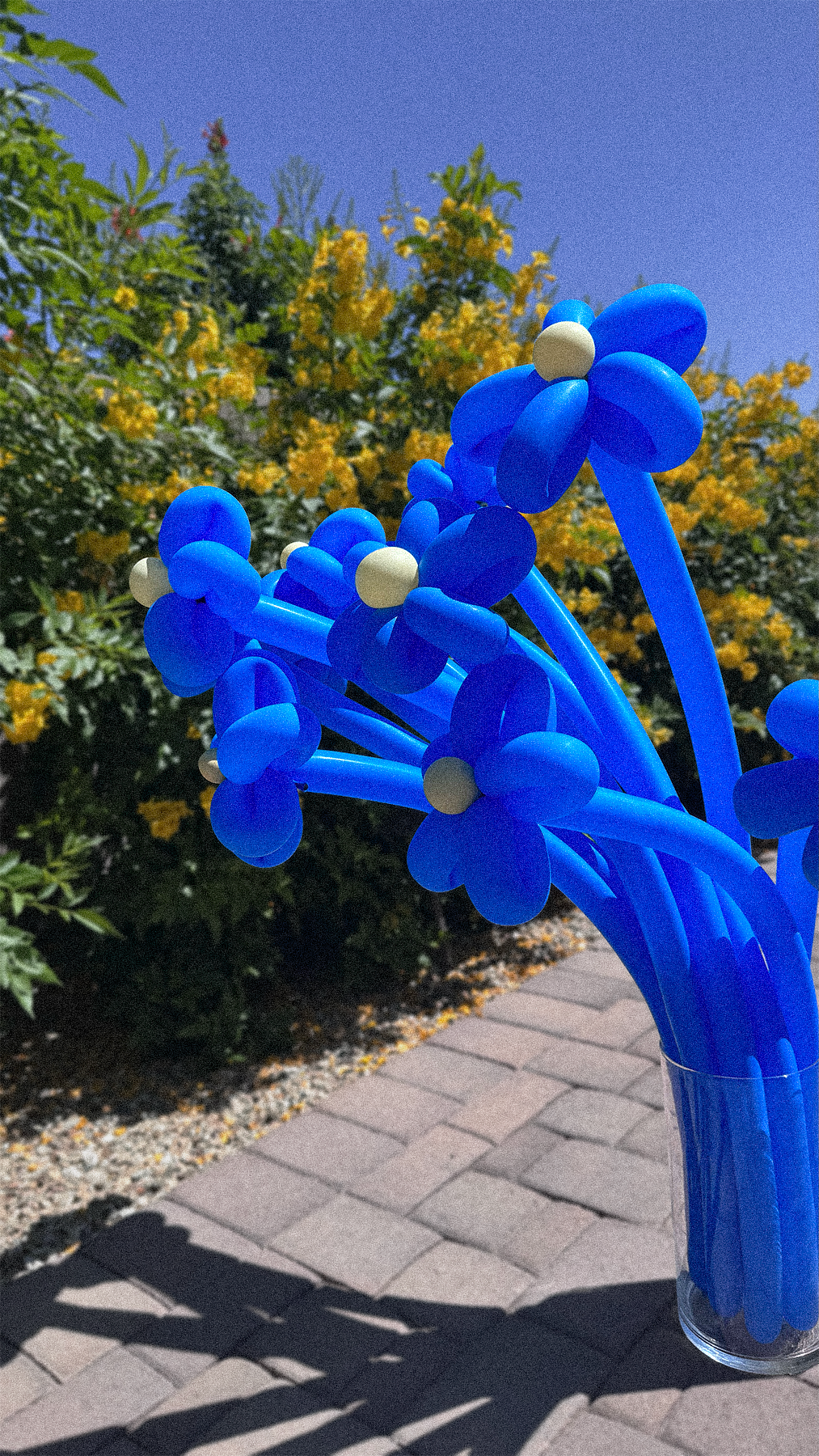 A balloon sculpture of blue flowers with white centers in a clear vase, set outdoors on a paved sidewalk with yellow-flowered bushes in the background during twilight.