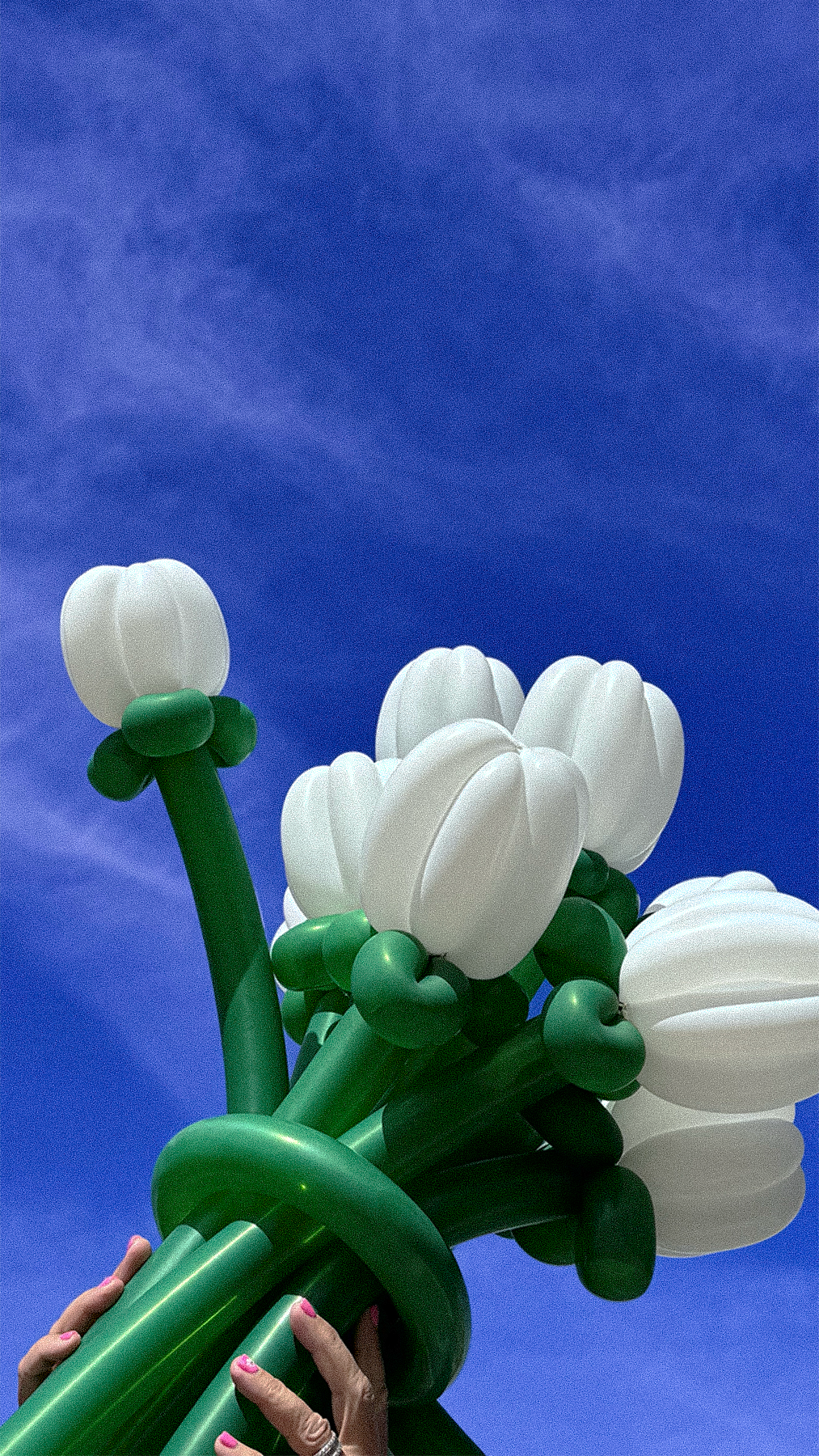 Balloon sculpture resembling a bouquet of white flowers with green stems, held up against a bright blue sky.