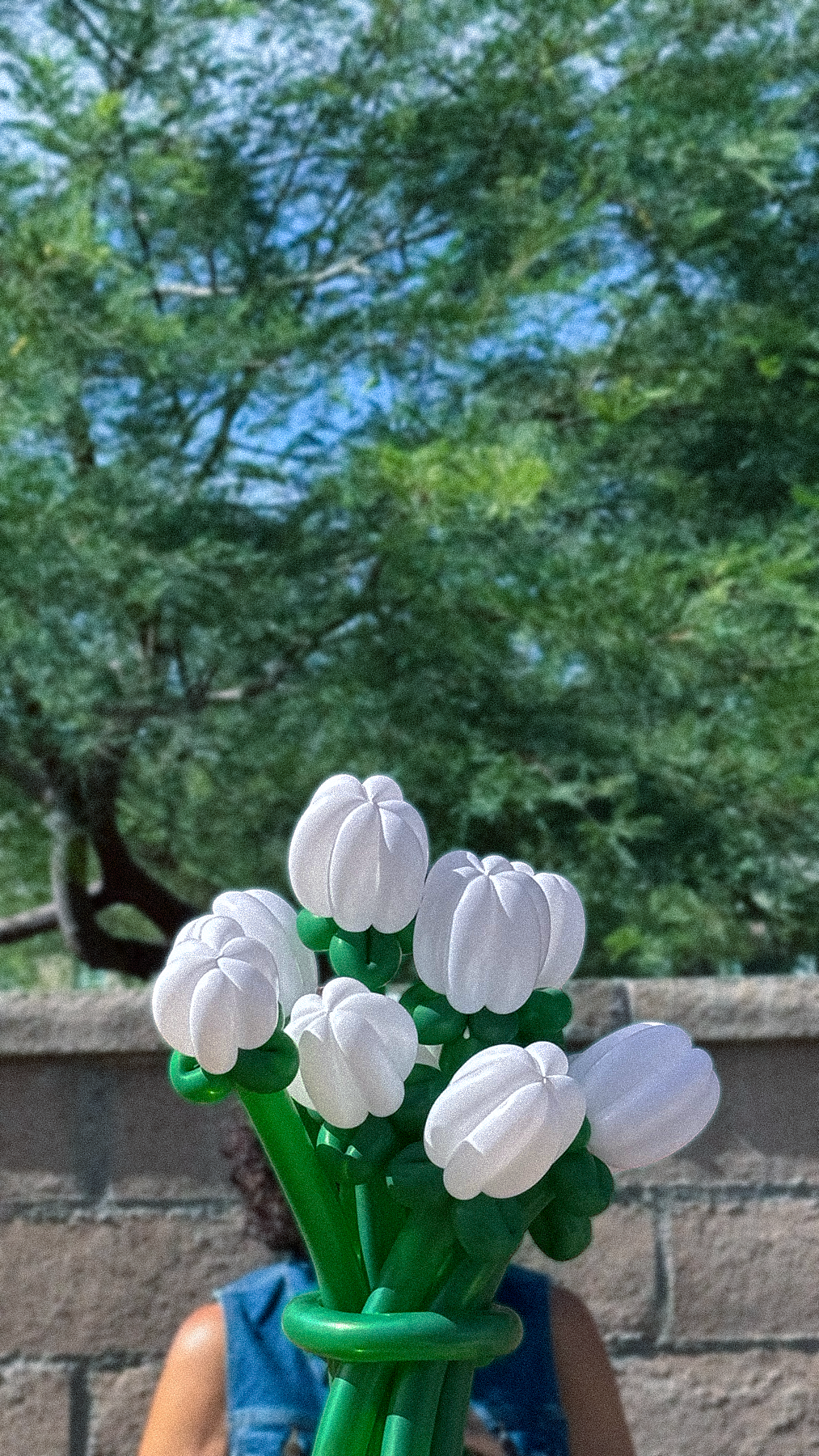 A bunch of white balloon flowers with green stems held by a person in front of a brick wall outdoors, with trees and blue sky in the background.