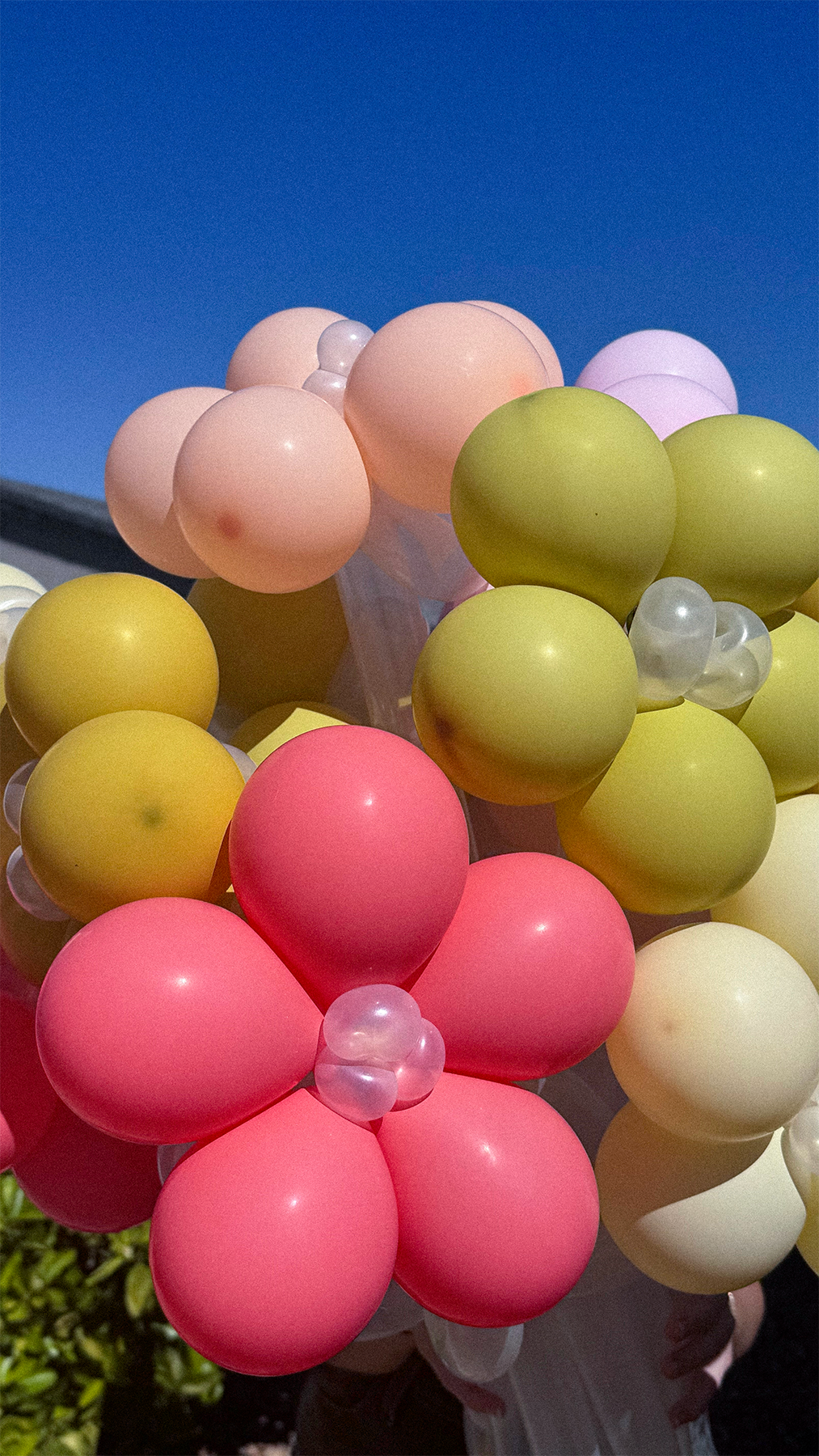 Colorful balloon bouquet with pink, yellow, green, and purple balloons, shaped like flowers, against a clear blue sky.