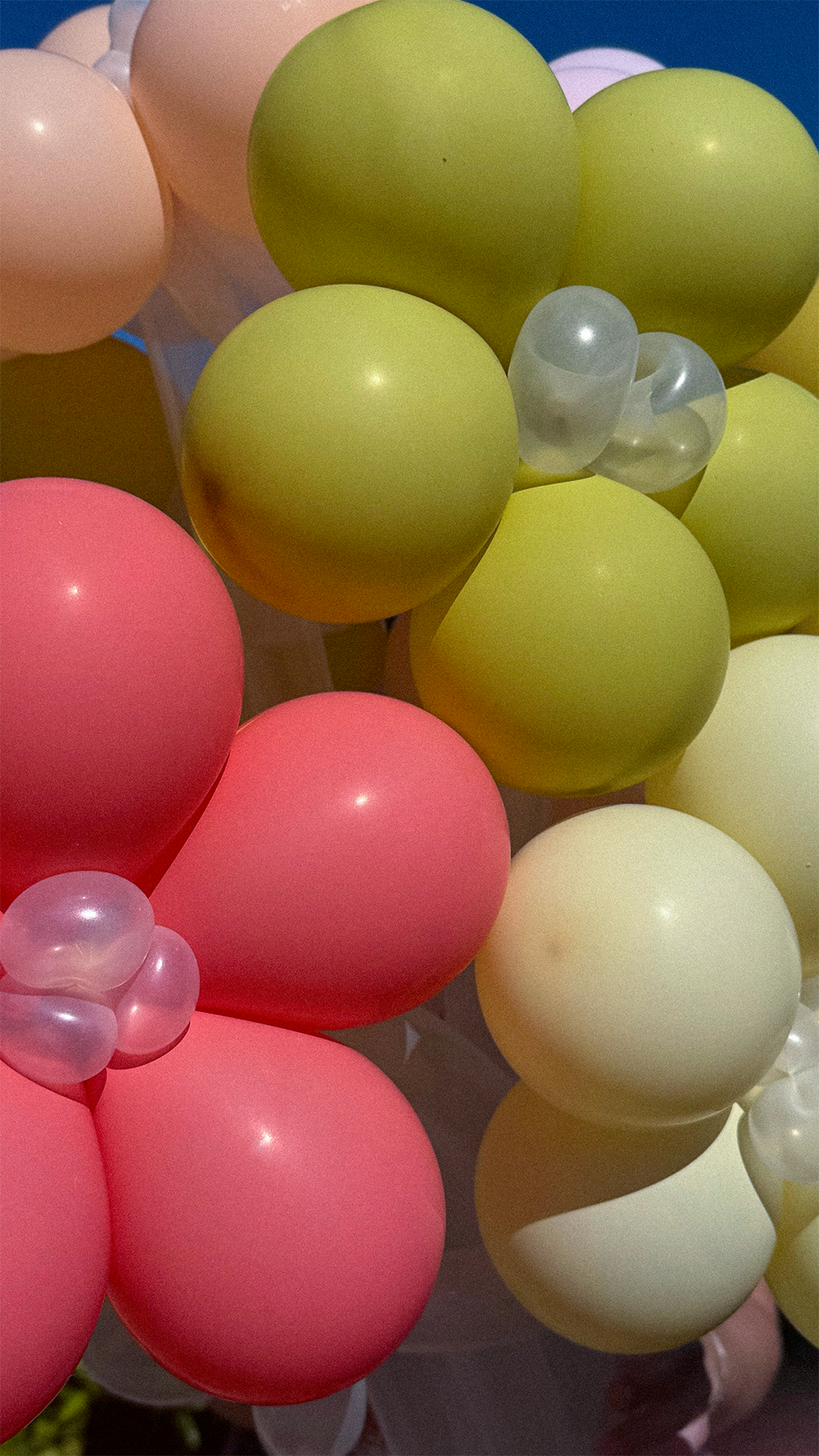 A bunch of colorful balloons in shades of pink, white, green, and clear are clustered together.