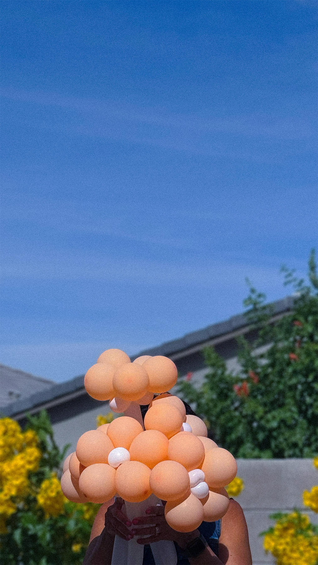 Person holding a cluster of orange and white balloons outdoors with yellow flowers, green plants, and a house with a gray roof in the background, under a clear blue sky.