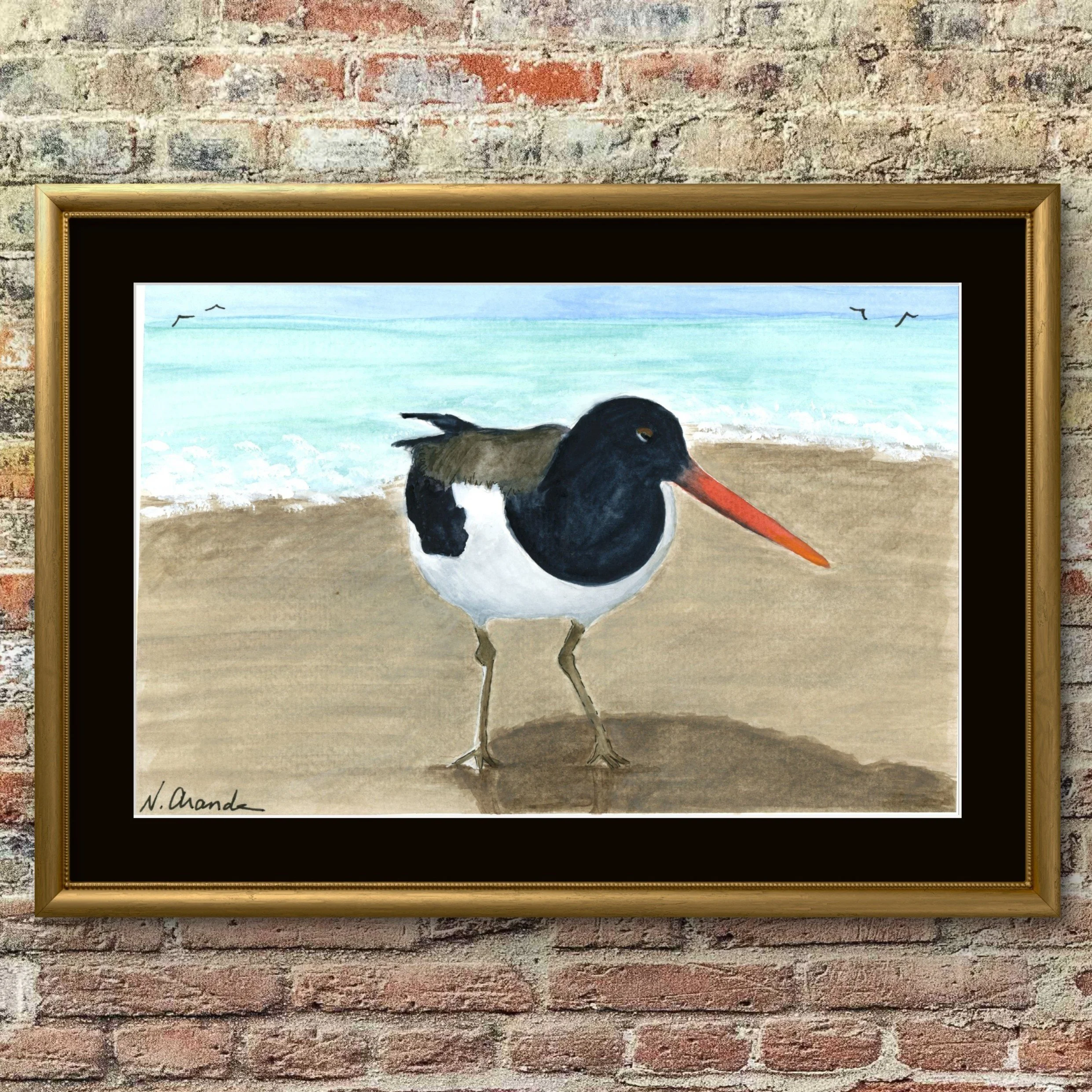 Oyster Catcher - print