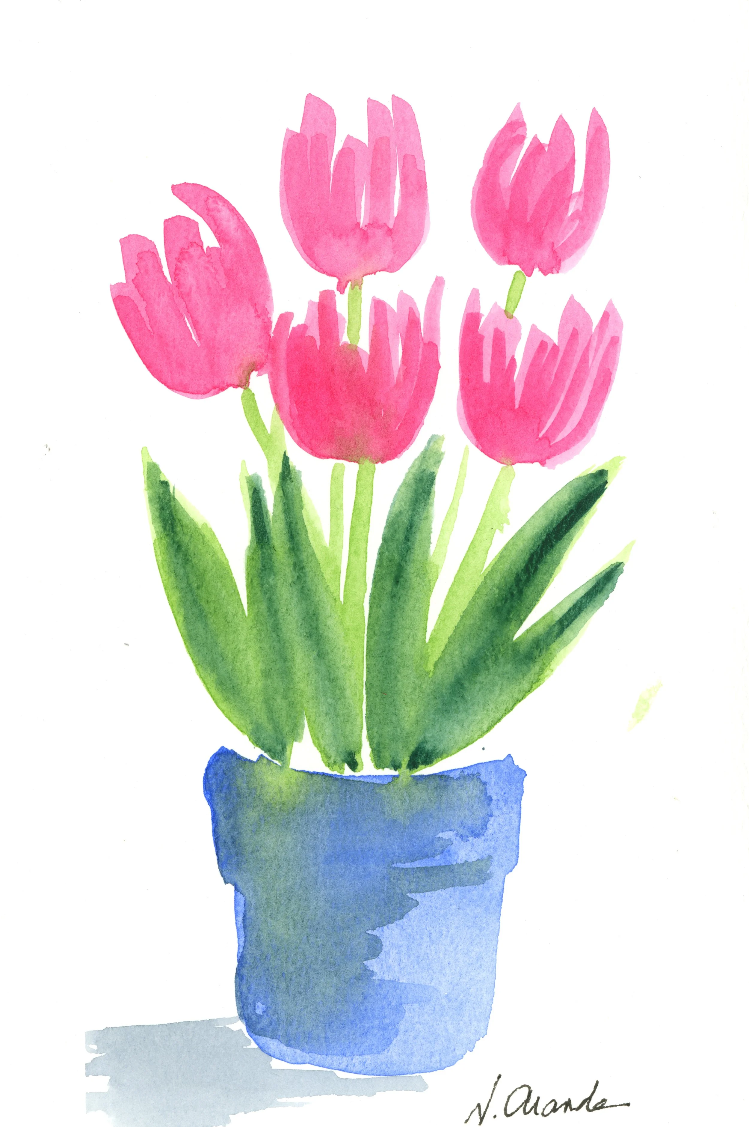 Very Plain Tulips