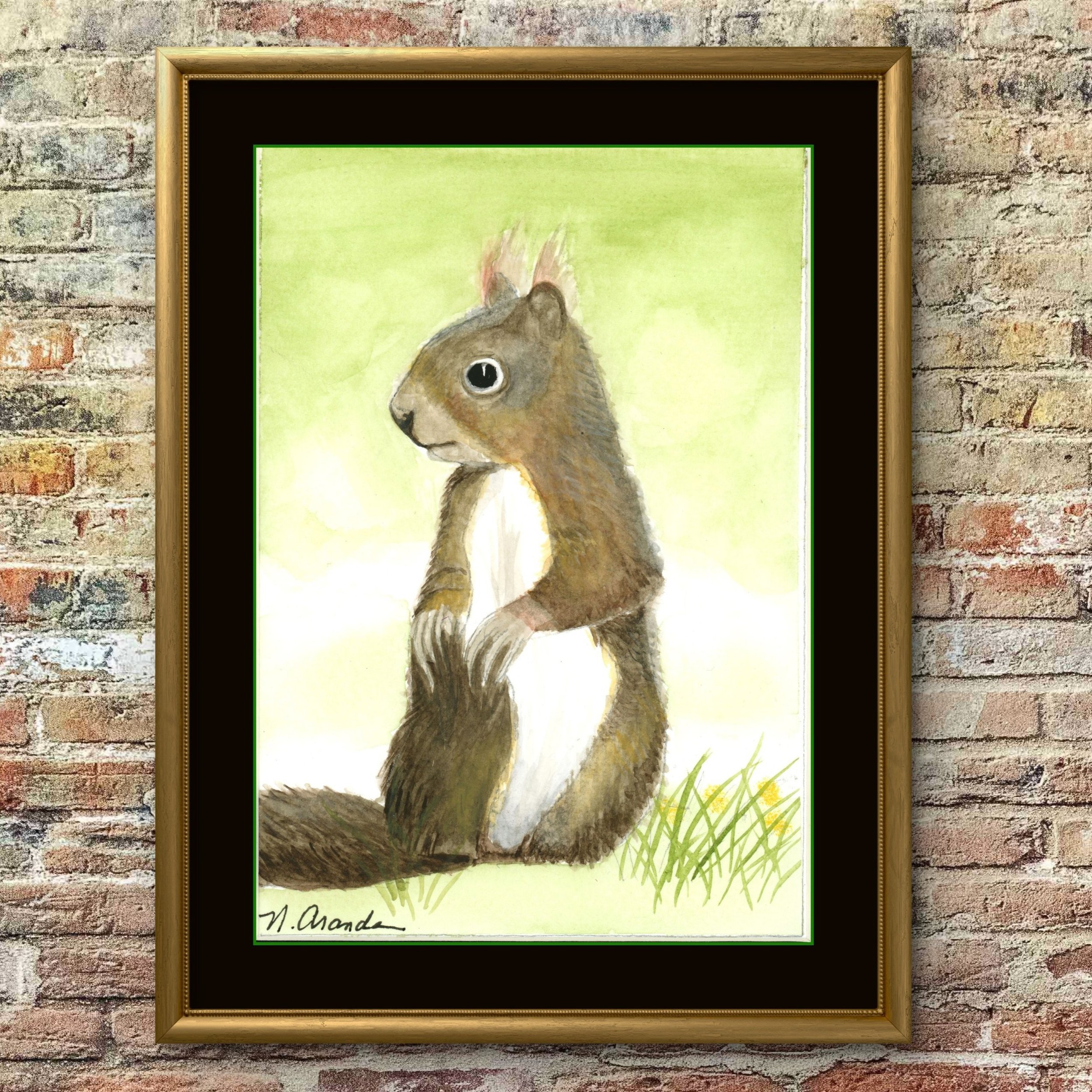 Squirrel - print