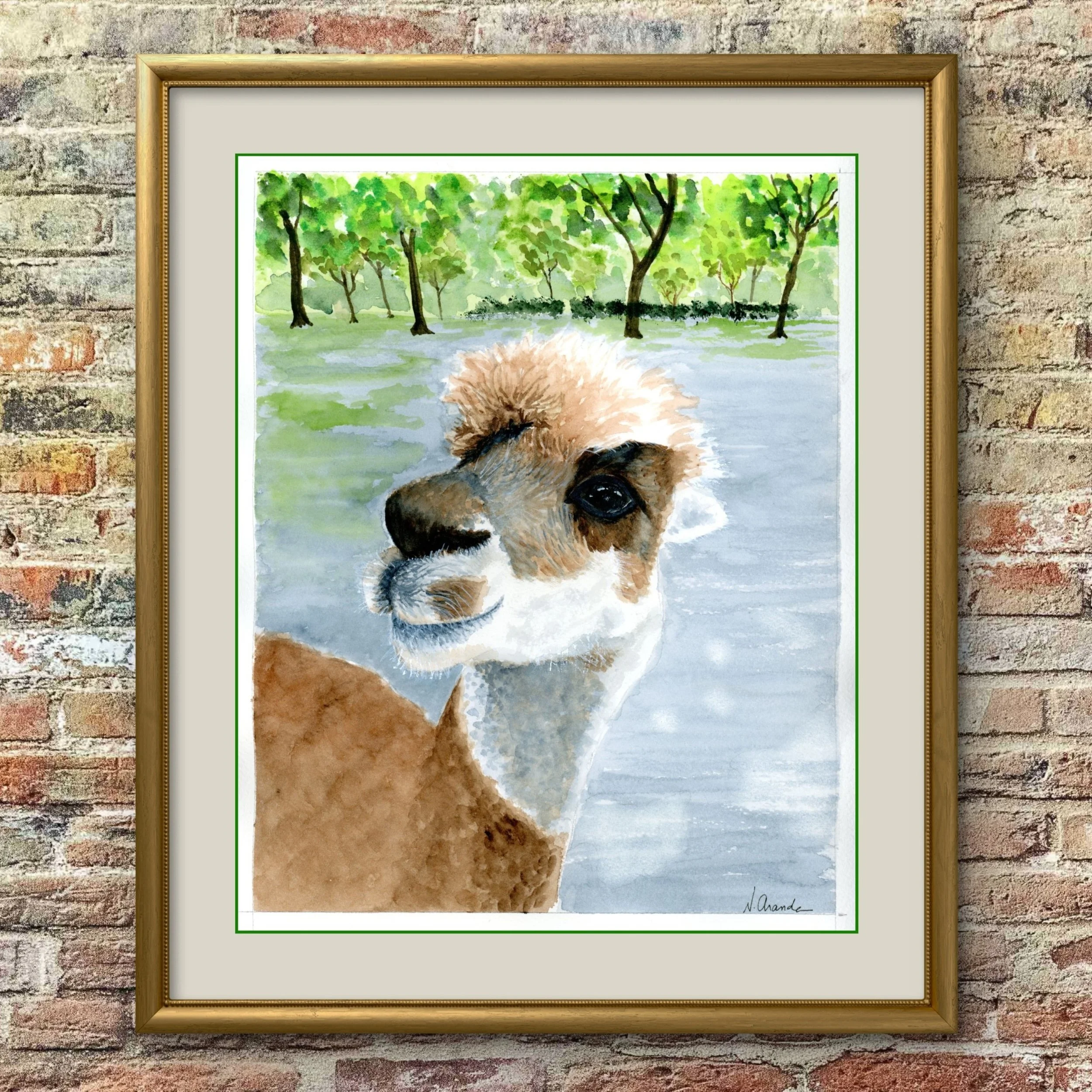 Alpaca From Queens - print