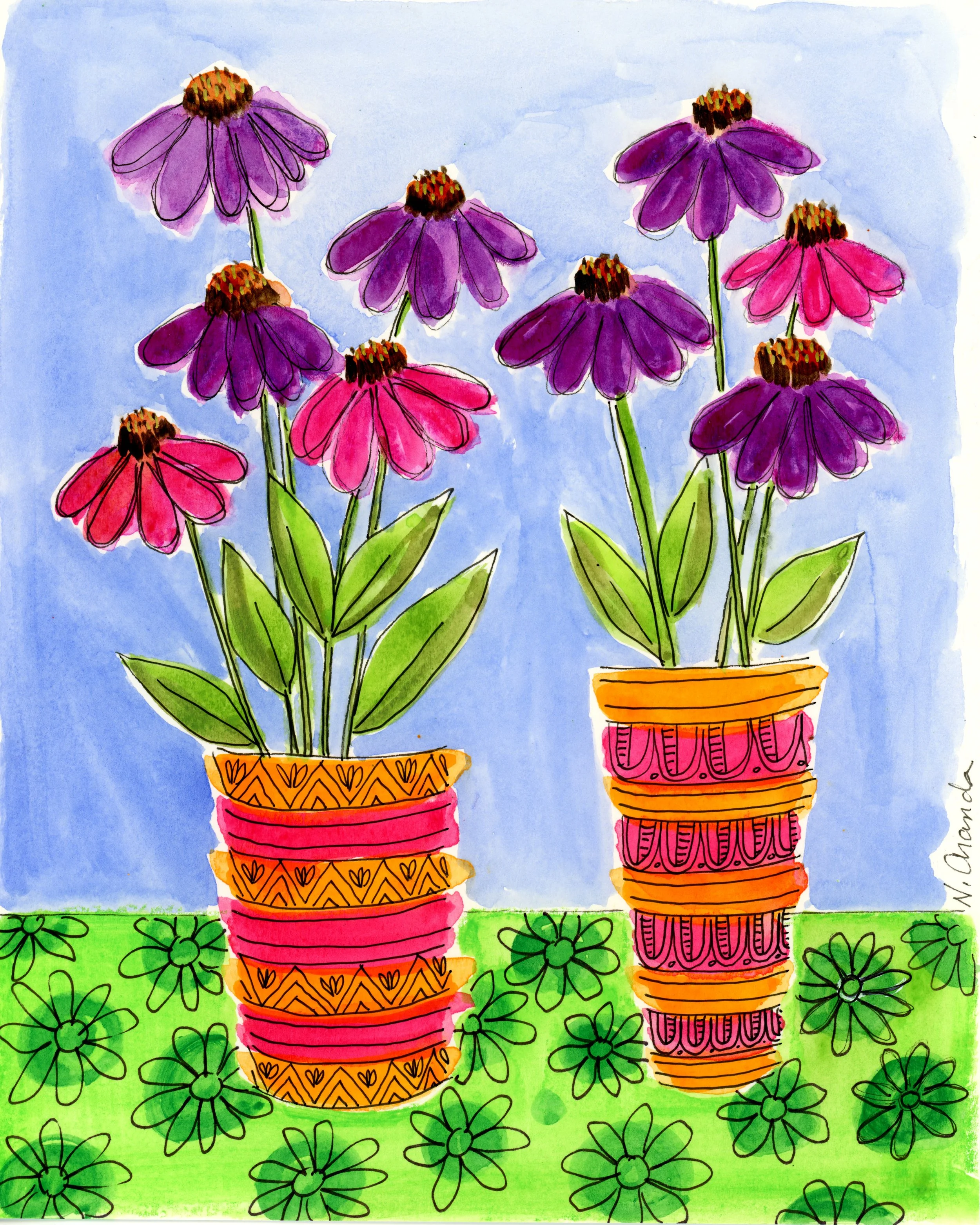 Two Echinacea Bunches