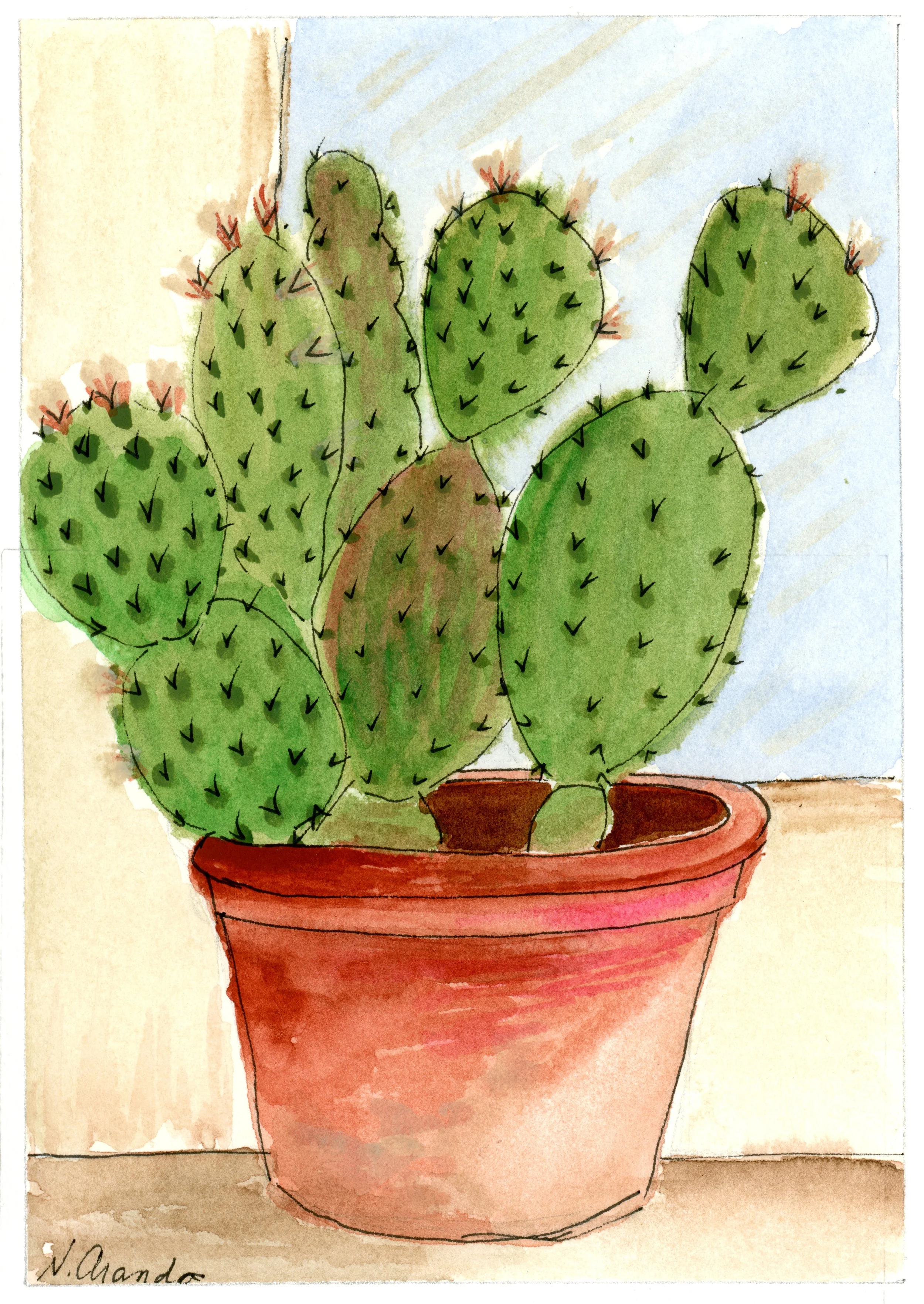 Cactus
