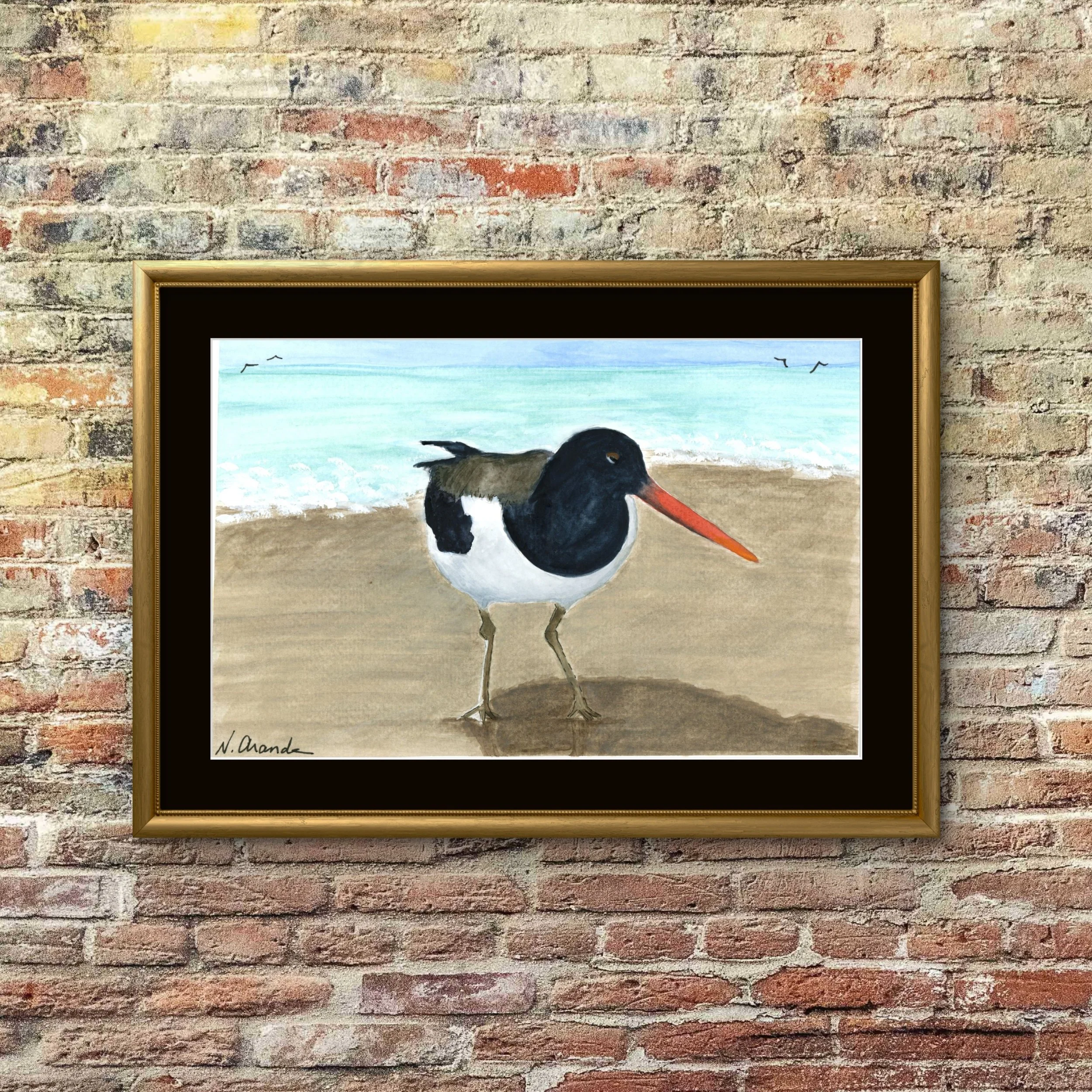 Oyster Catcher - print
