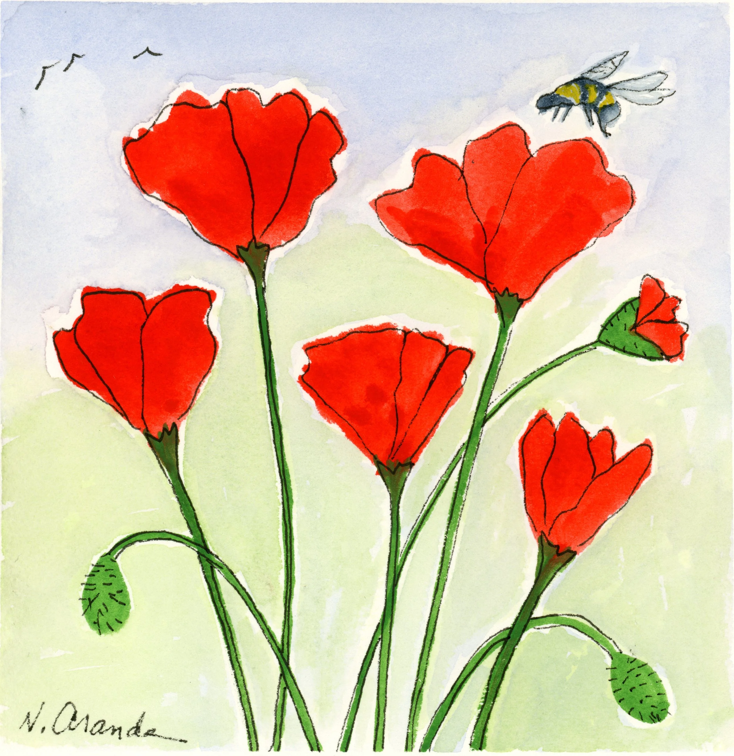 Poppies and a Bee