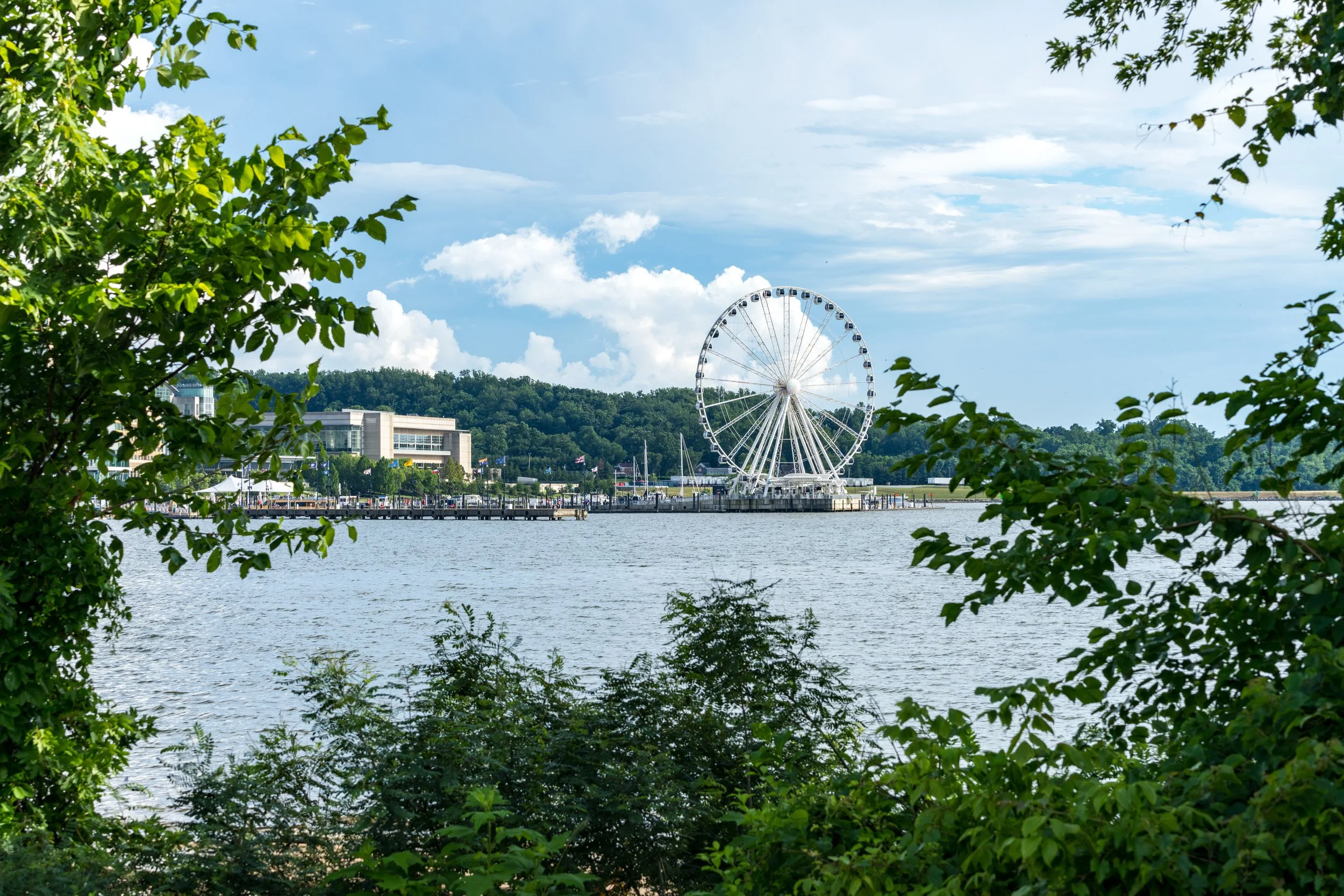 A scenic view of a waterfront amusement park in the Mid Atlantic region, with a large Ferris wheel, trees in the foreground, and a partly cloudy blue sky.