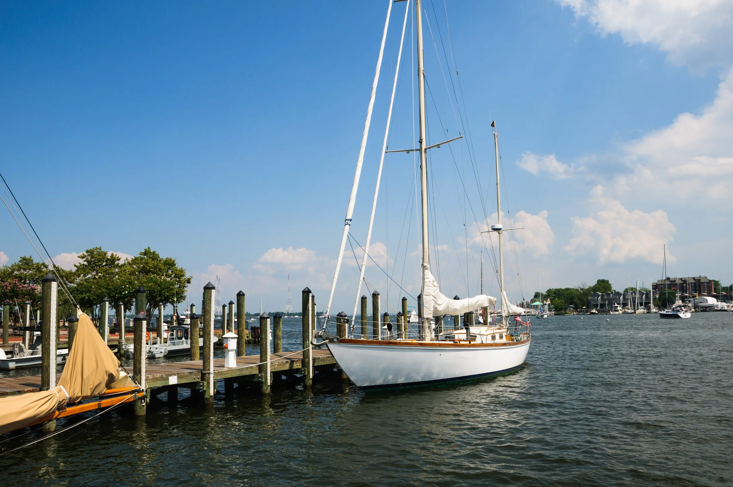 A marina with sailboats docked near a wooden pier in the Mid Atlantic, with trees and residential buildings in the background under a blue sky with some clouds.