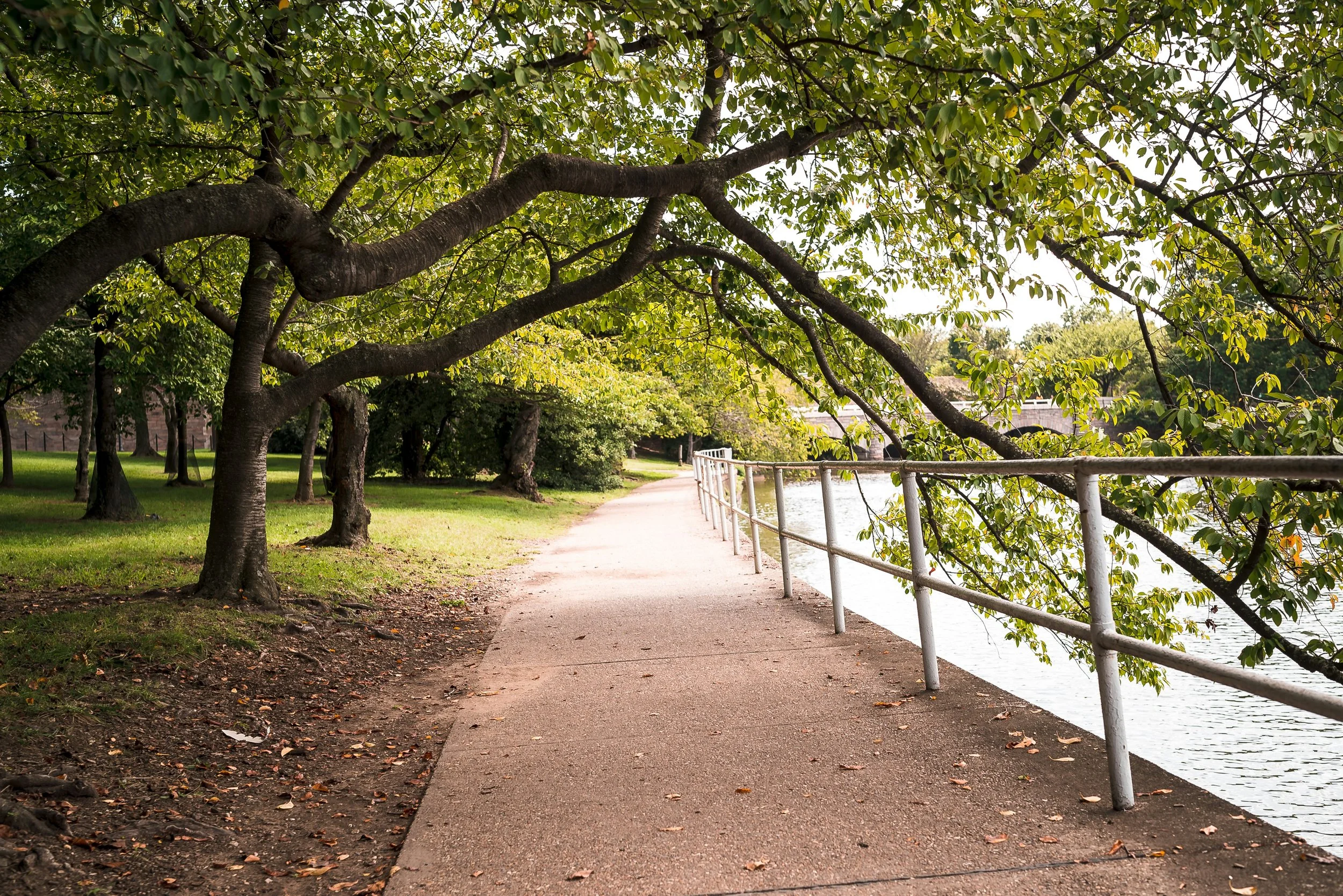 A paved pathway in Washington DC running alongside a body of water with a white railing on the right side, shaded by green leafy trees on the left side, in a park setting.