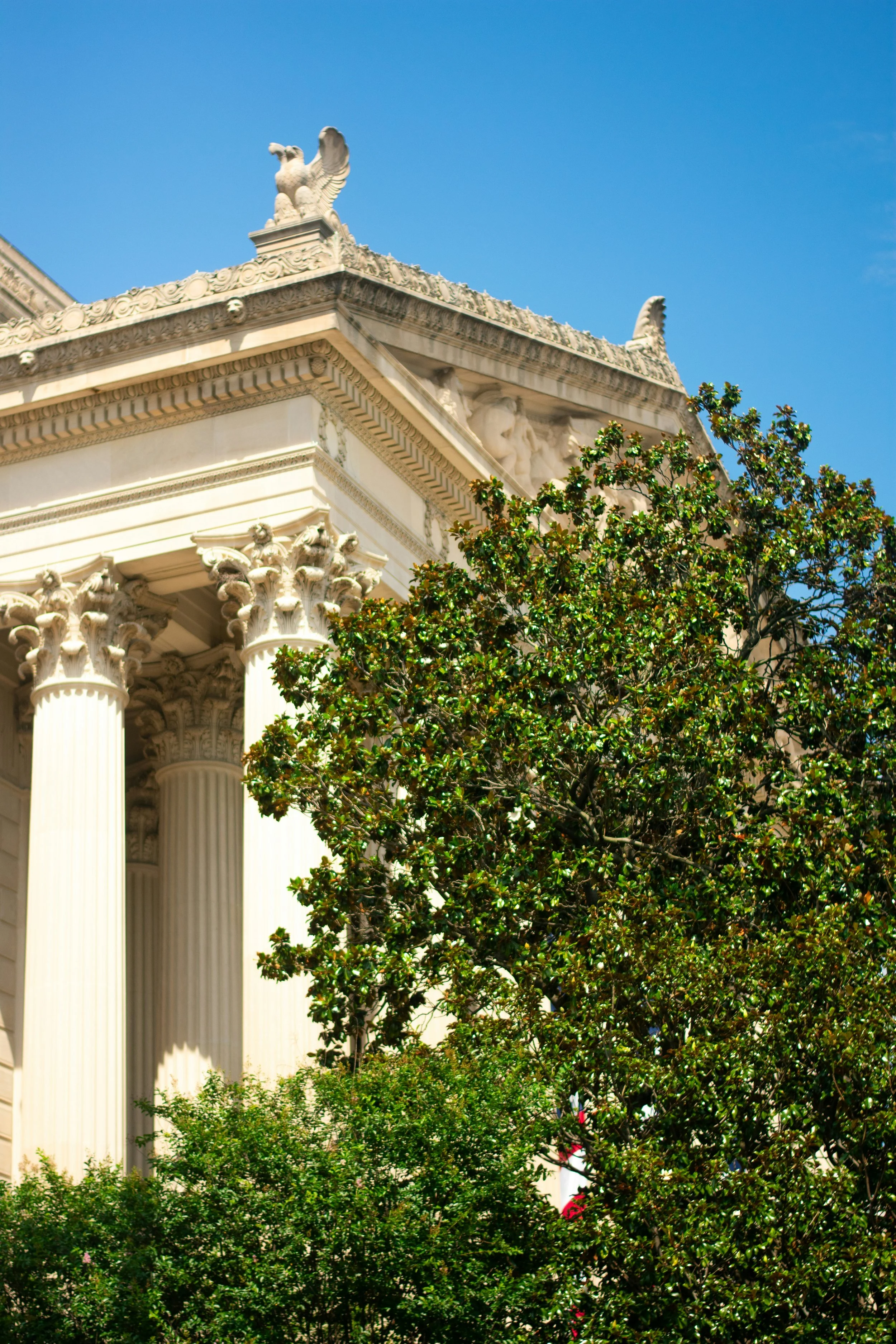 Close-up of the architectural details of a classical building in Washington DC with columns and ornate sculptures, partially obscured by green foliage, under a clear blue sky.