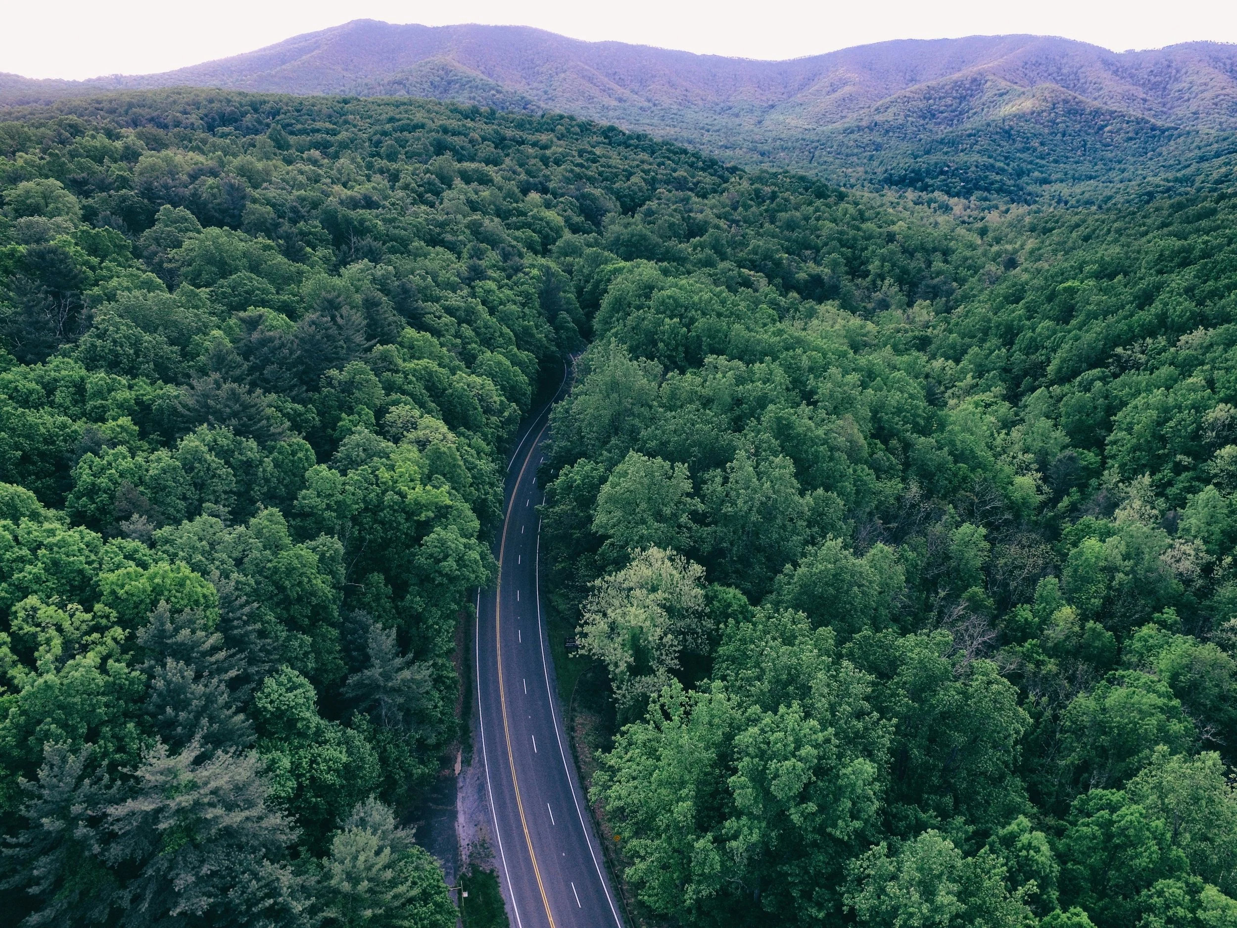 An aerial view of a road winding through a dense green forest with mountain ranges in the background, in the Mid Atlantic region of the United States.