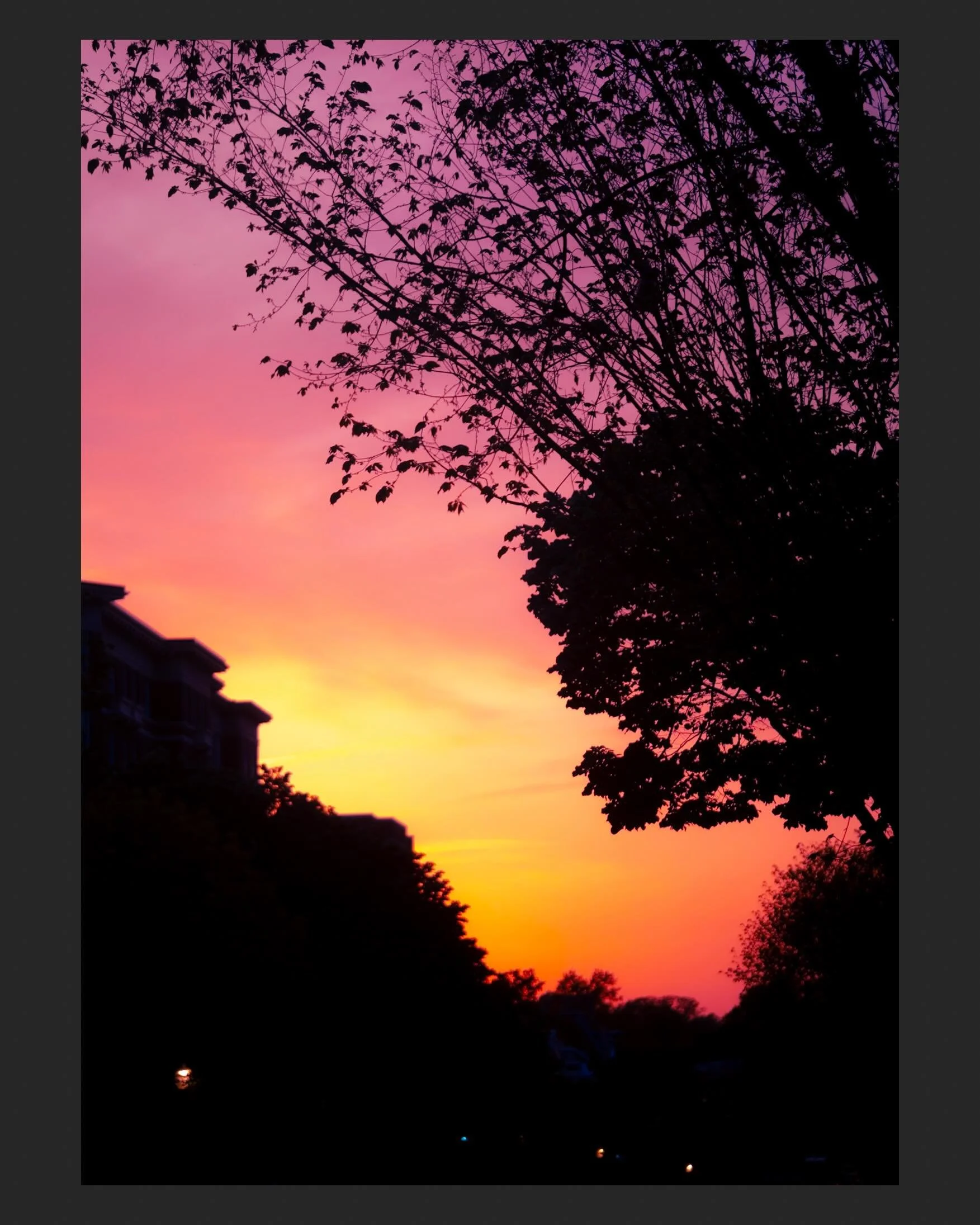 3 

magenta
