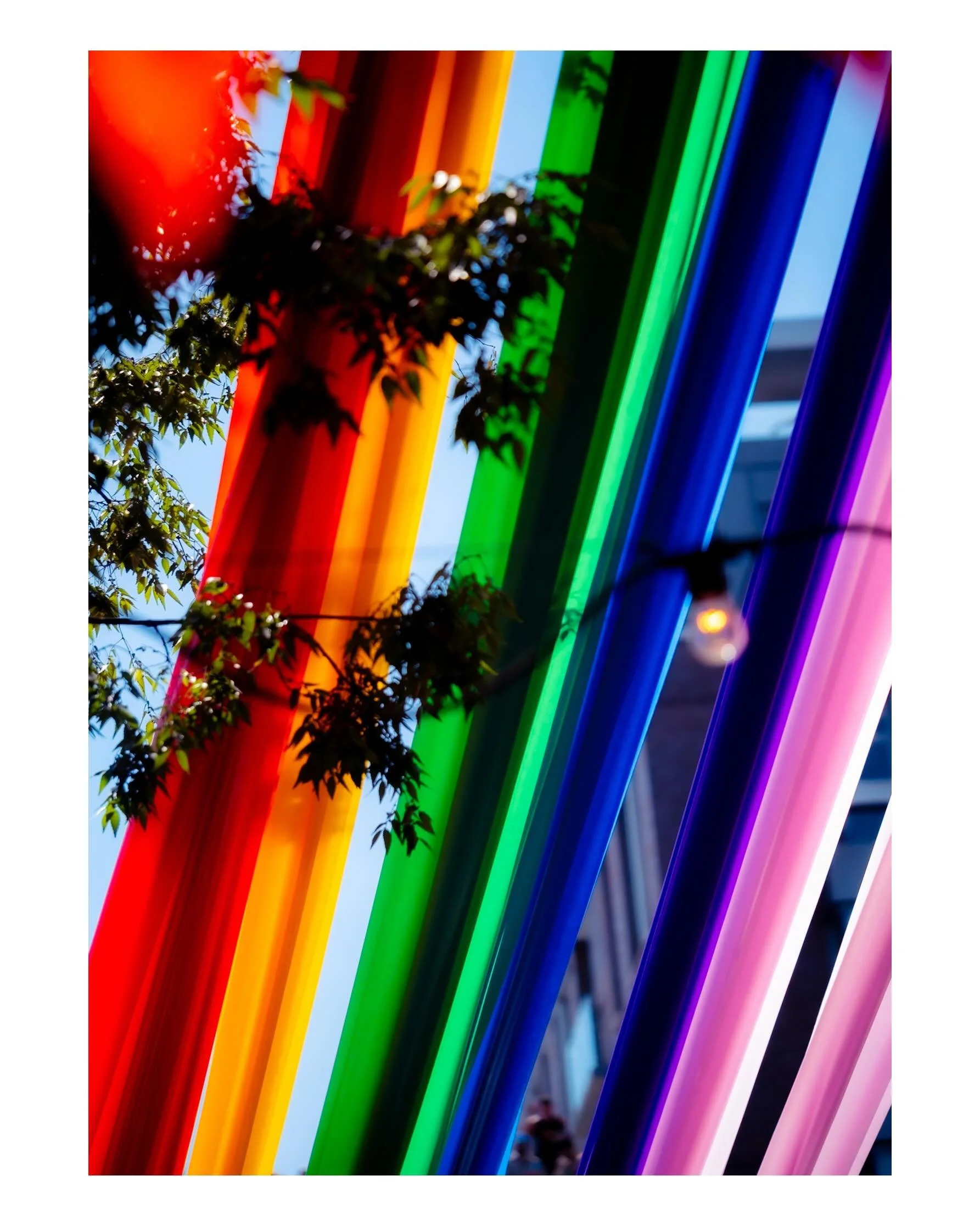 2

gay things!

i can&rsquo;t wait to walk around whatever city im in and see how they decorate to celebrate 🥰. i love how obsessed with beauty we can be