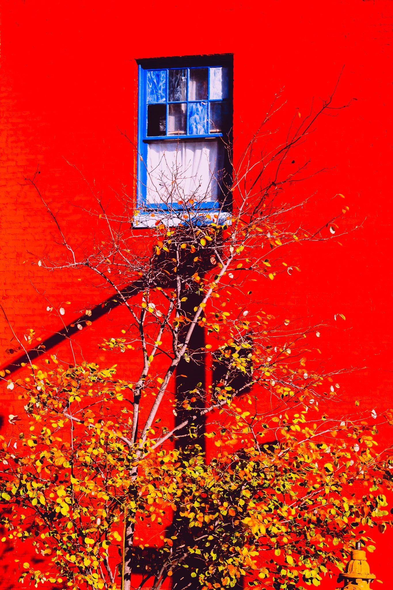 DSCF5232.jpg