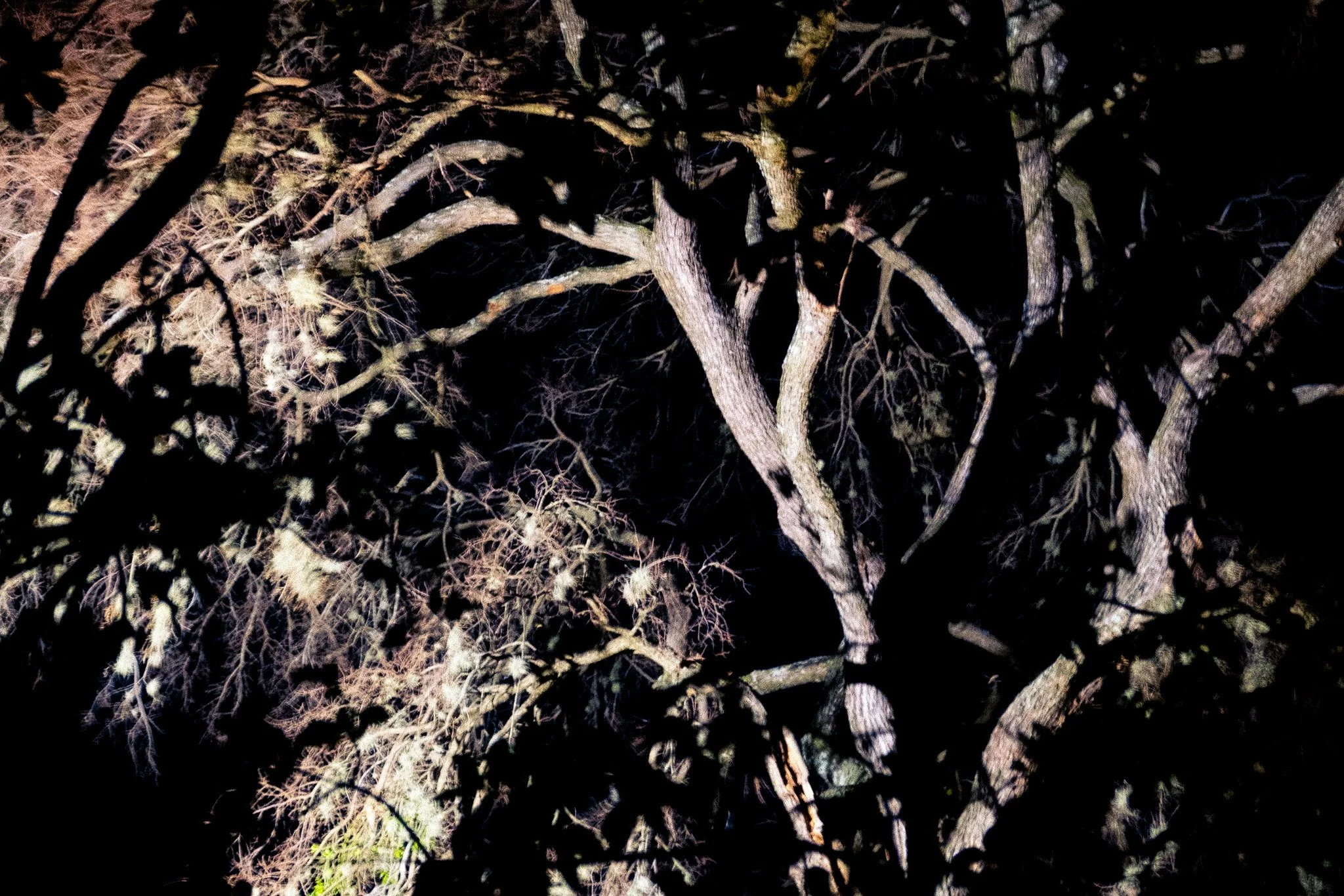DSCF4588.jpg