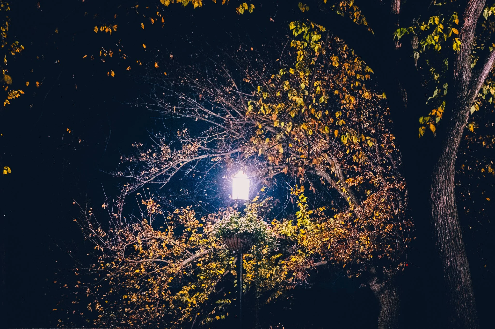 DSCF3222.jpg