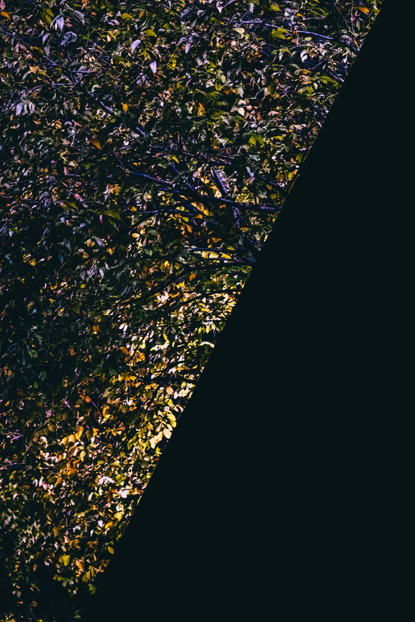 DSCF3213.jpg