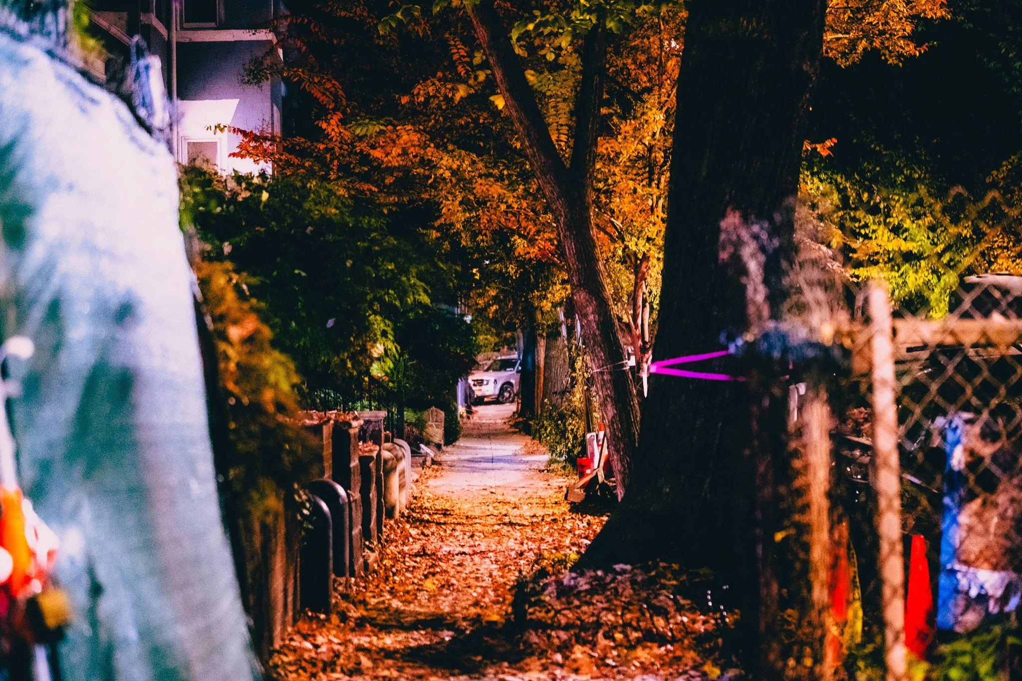 DSCF3514.jpg