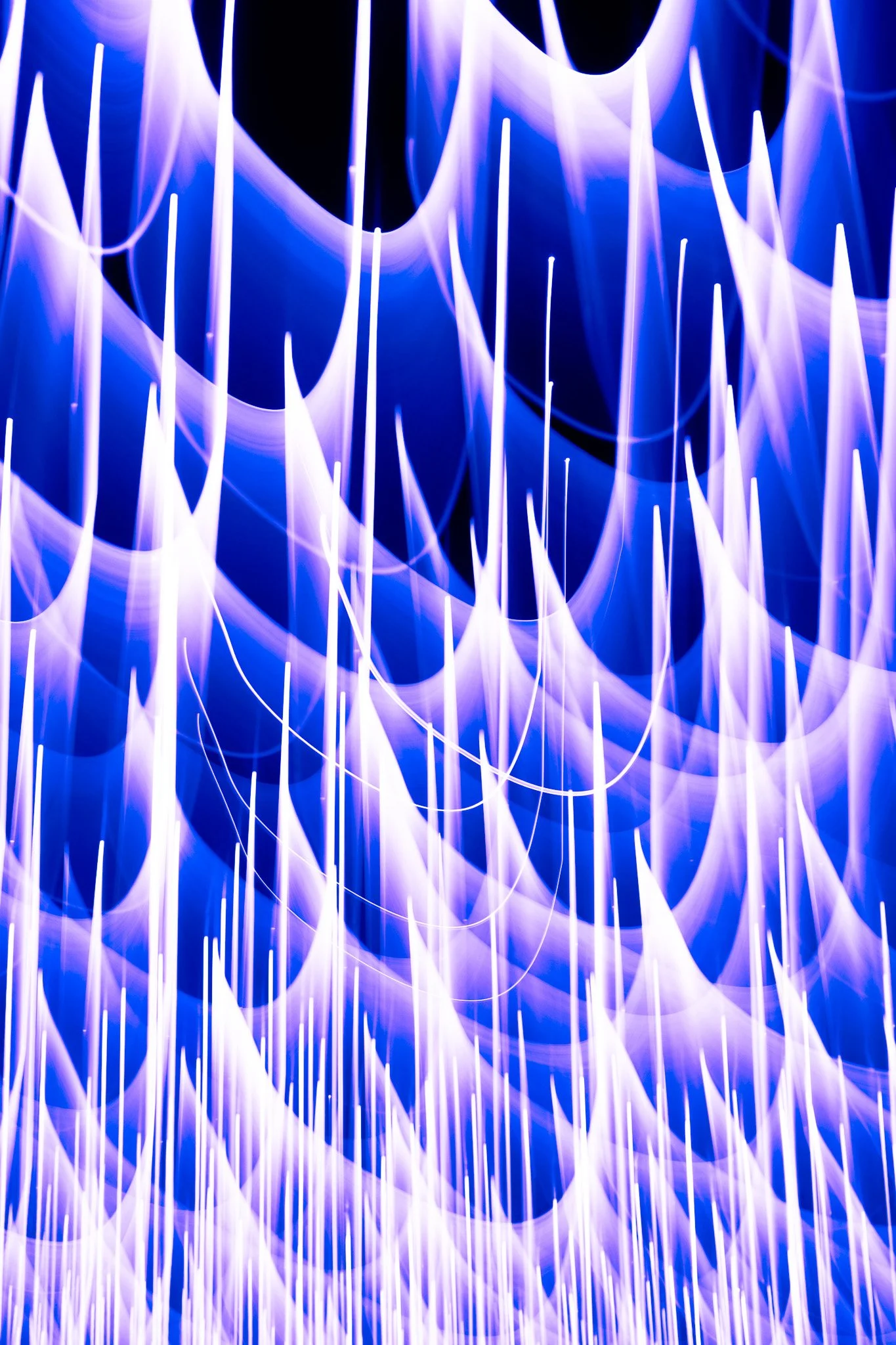 DSCF5760.jpg