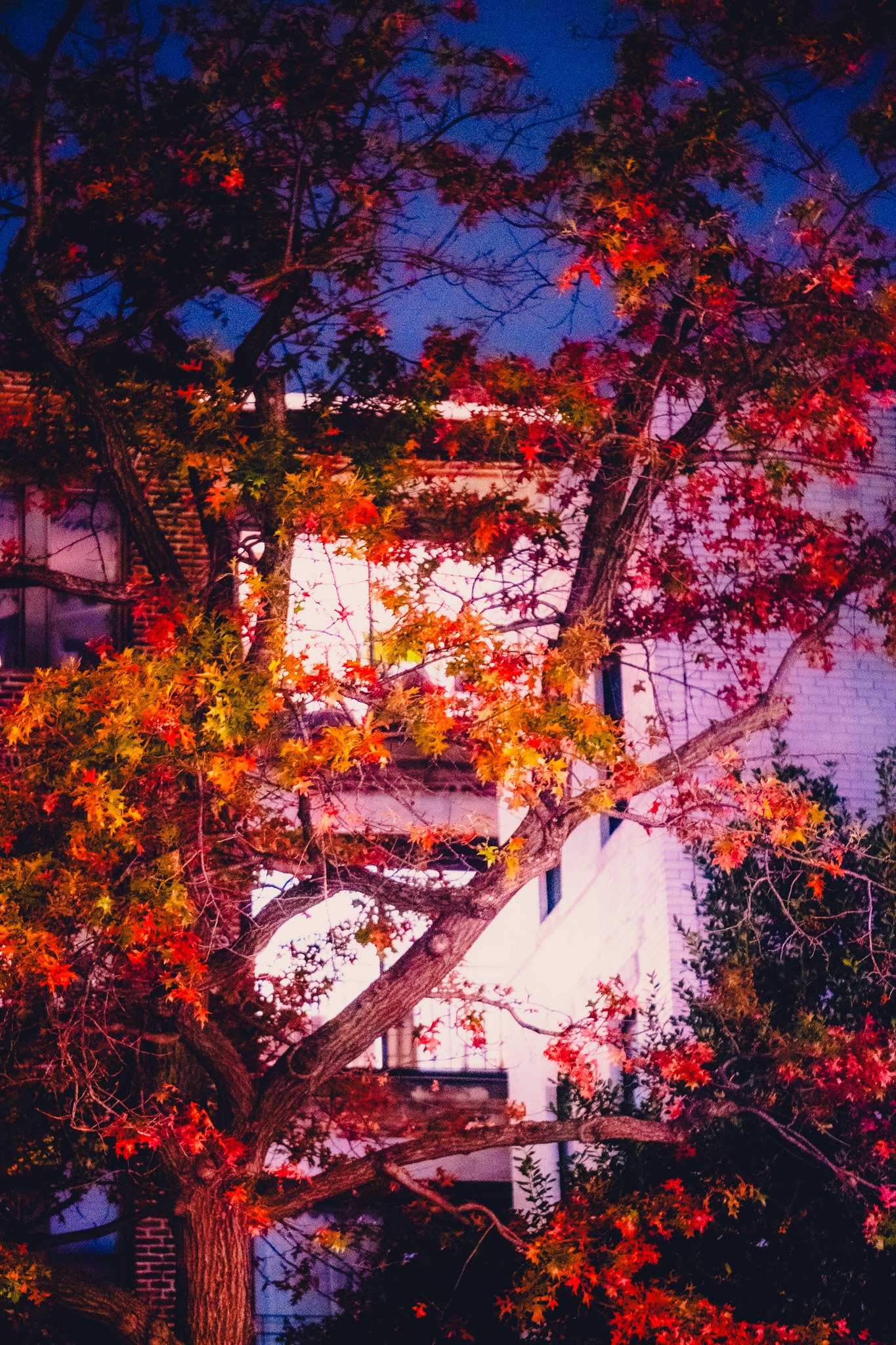 DSCF3856.jpg