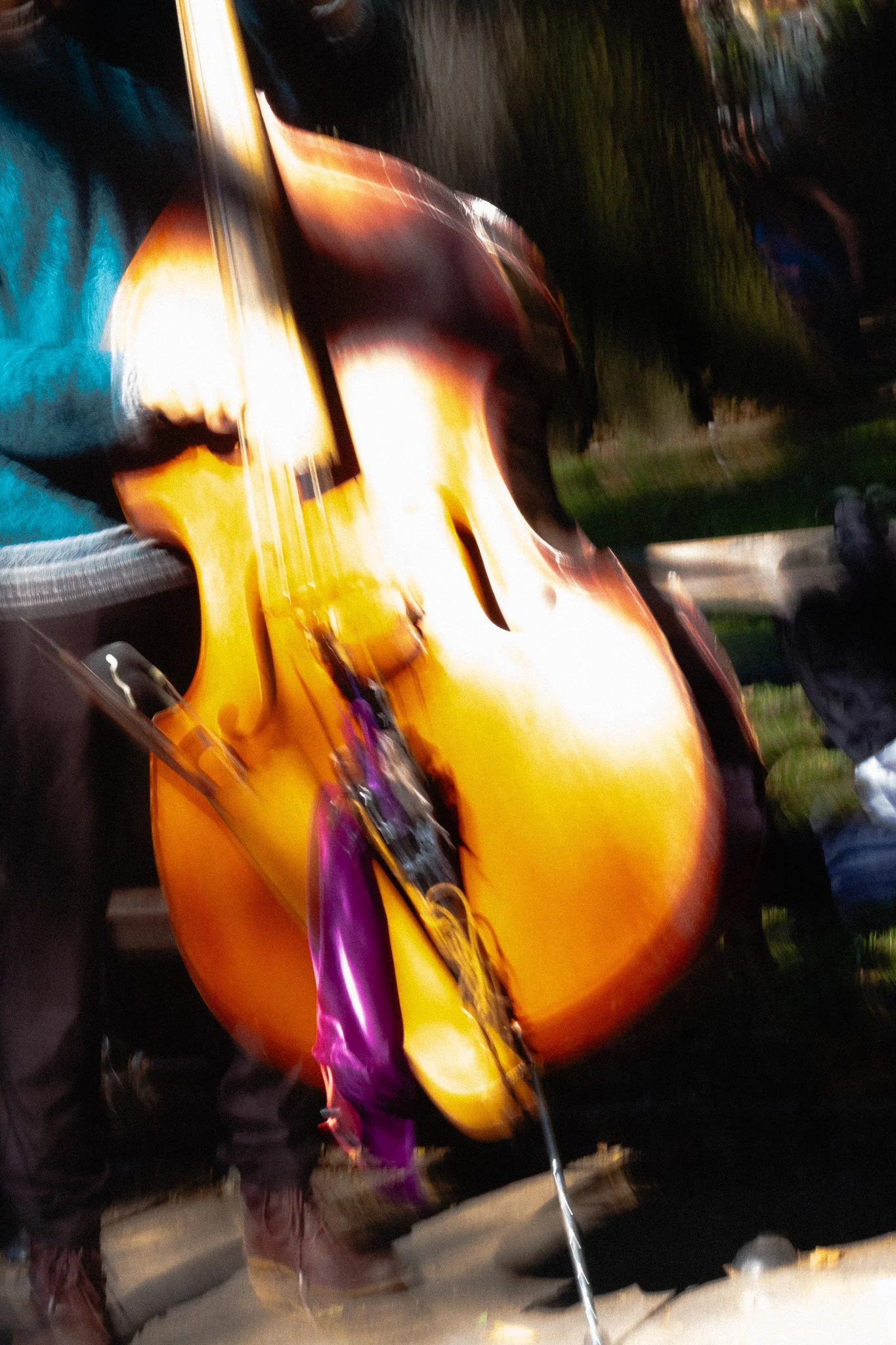 DSCF8842.jpg
