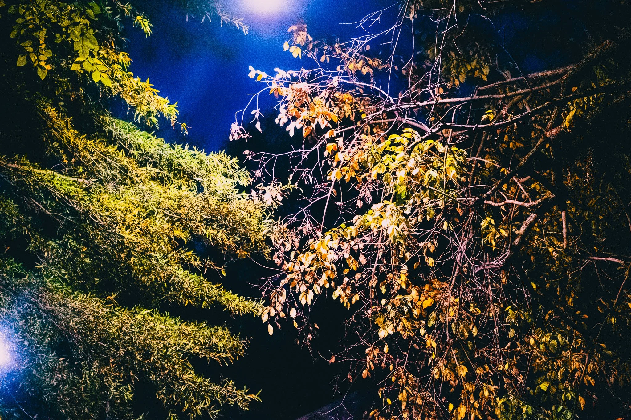 DSCF3517.jpg