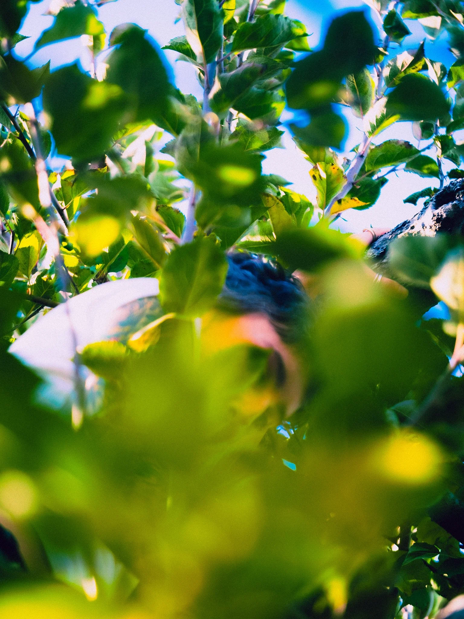DSCF9398.jpg