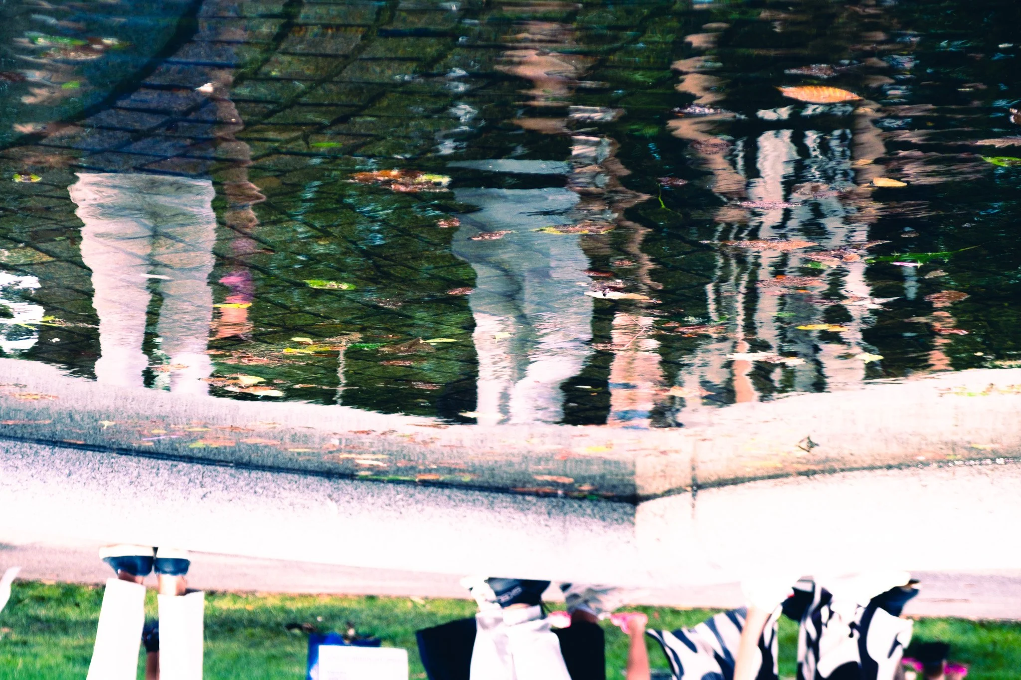 DSCF6343.jpg