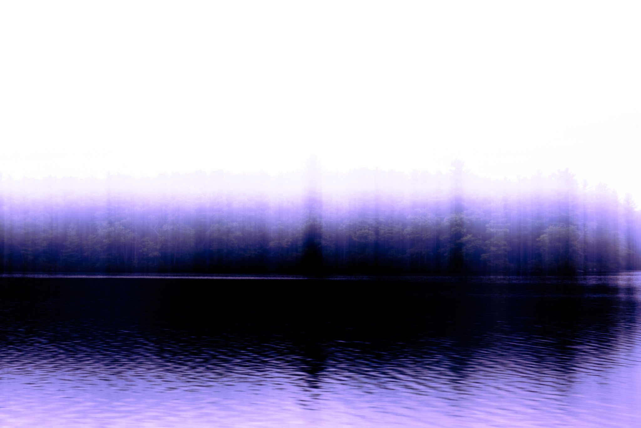 DSCF6137.jpg