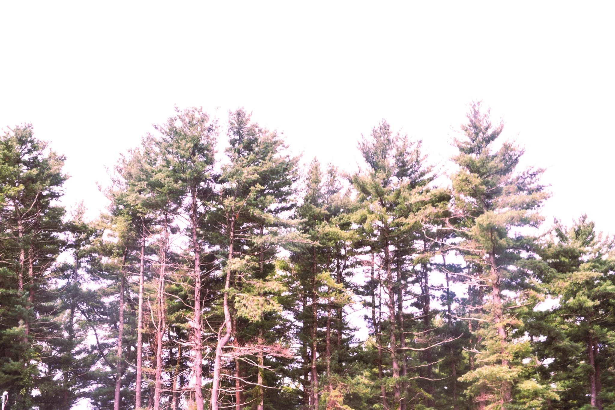 DSCF6012-2.jpg