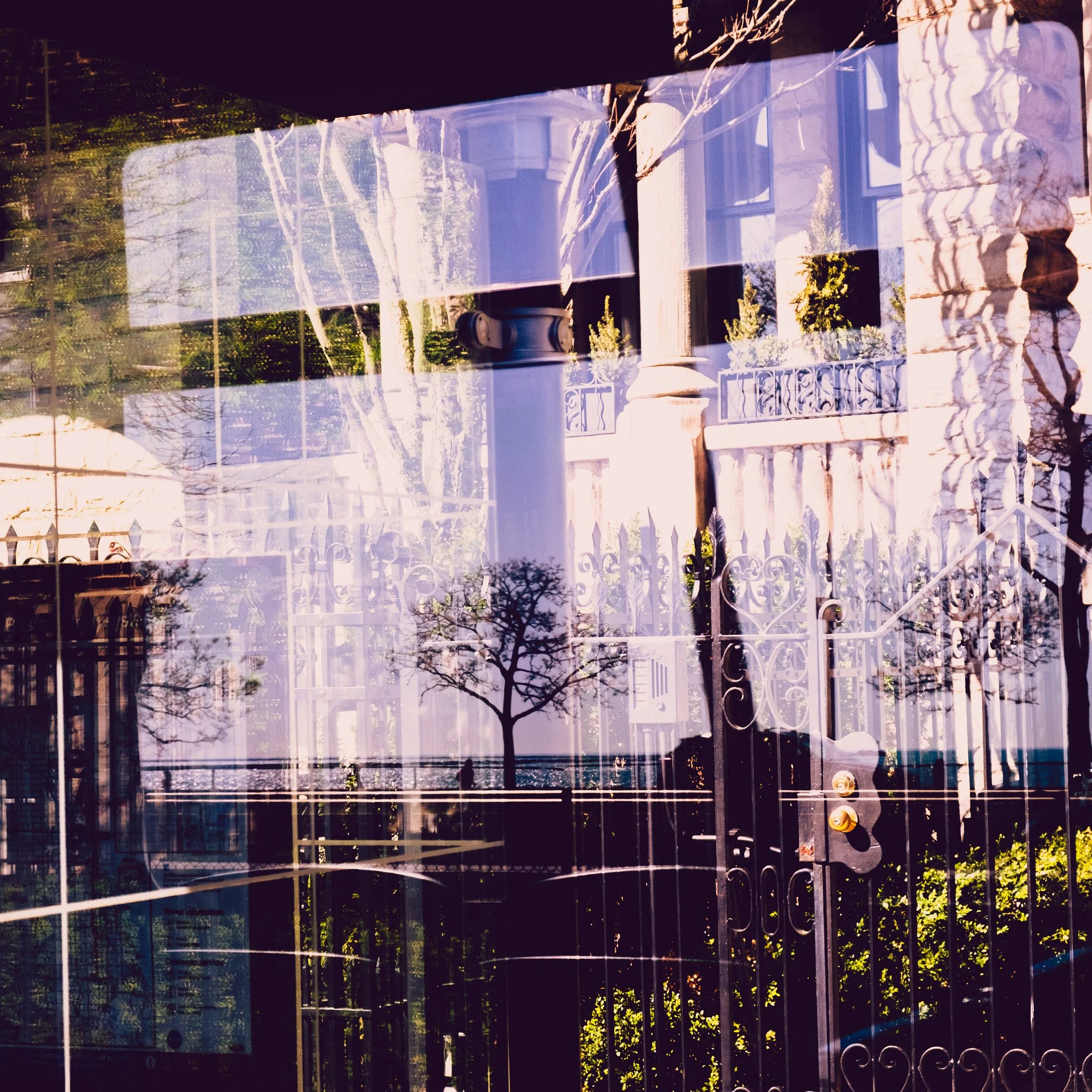 DSCF0142.jpg