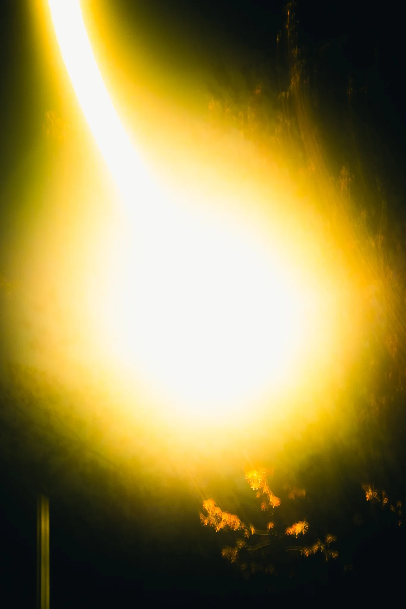 DSCF6057.jpg