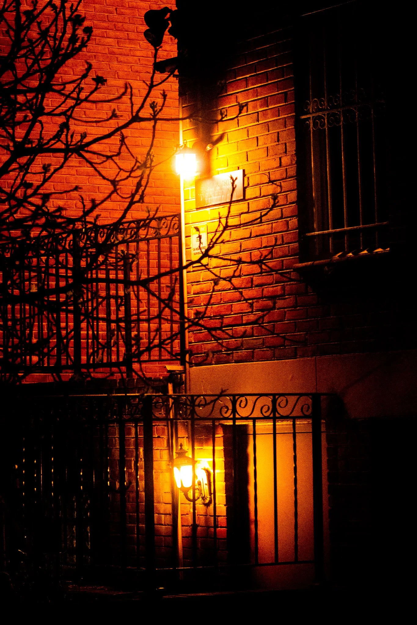 DSCF6593.jpg