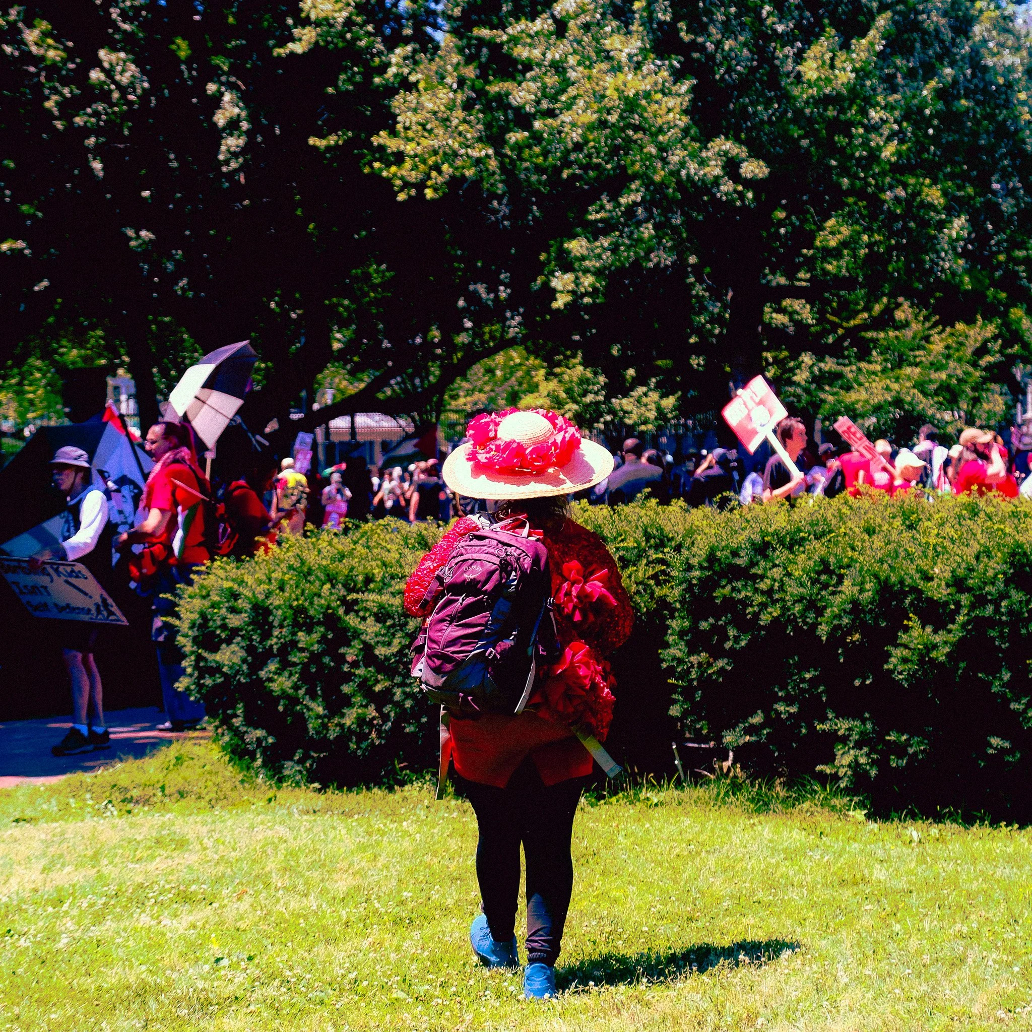 DSCF2011.jpg